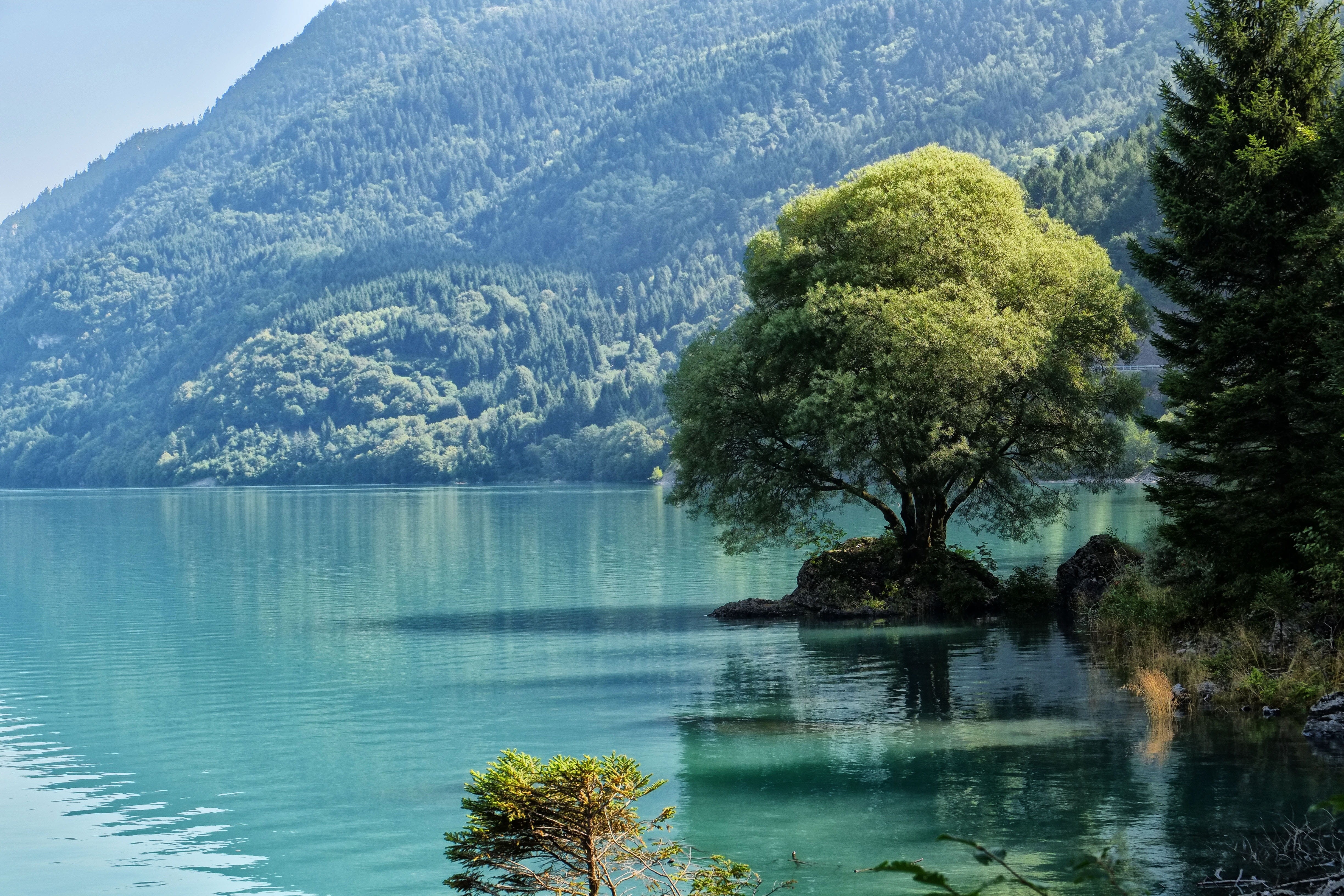 green color, reflection, vista, outdoors, no people, molveno, scenics - nature, waterfront, tranquility, tranquil scene, growth, landscape, water, nature, HD Wallpaper