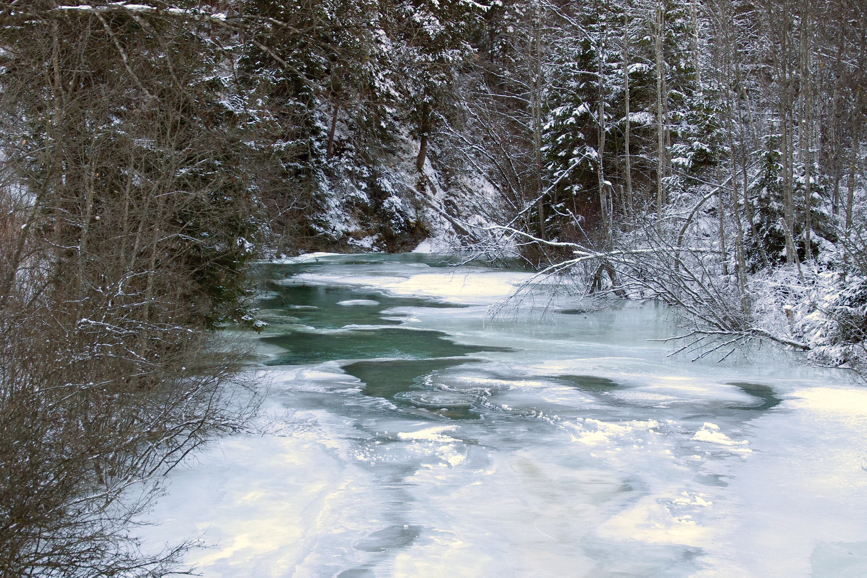 2K, cold, non-urban scene, landscape, frost, tranquility, cold - Temperature, land, trentino alto adige, forest, flowing water, scenics, beauty in nature, HD Wallpaper