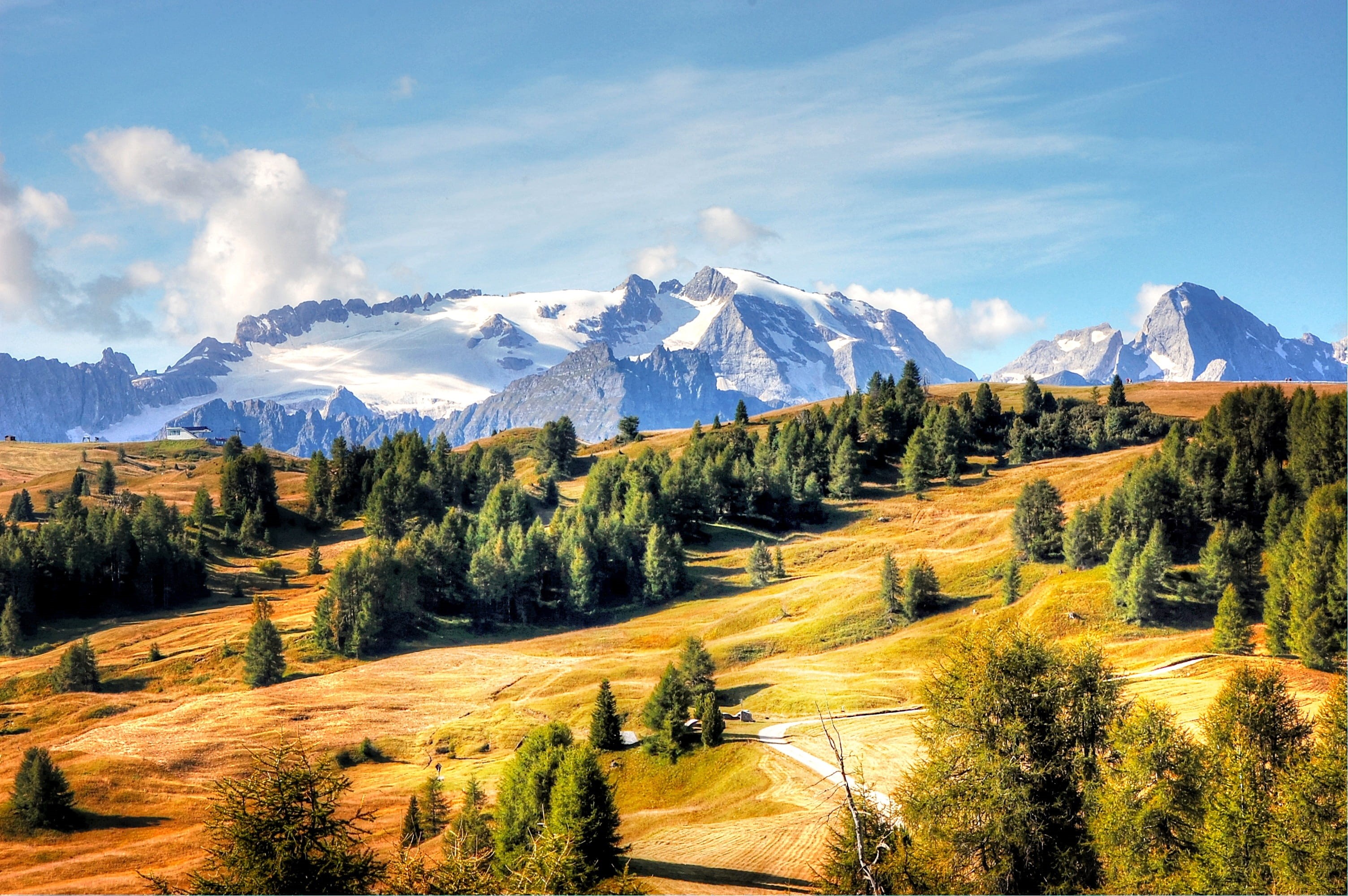 forest, dolomites, clouds, sky, tranquil scene, trentino, hiking, scenics - nature, day, trail, blue, summer, mountain range, pine woodland, landscape, HD Wallpaper