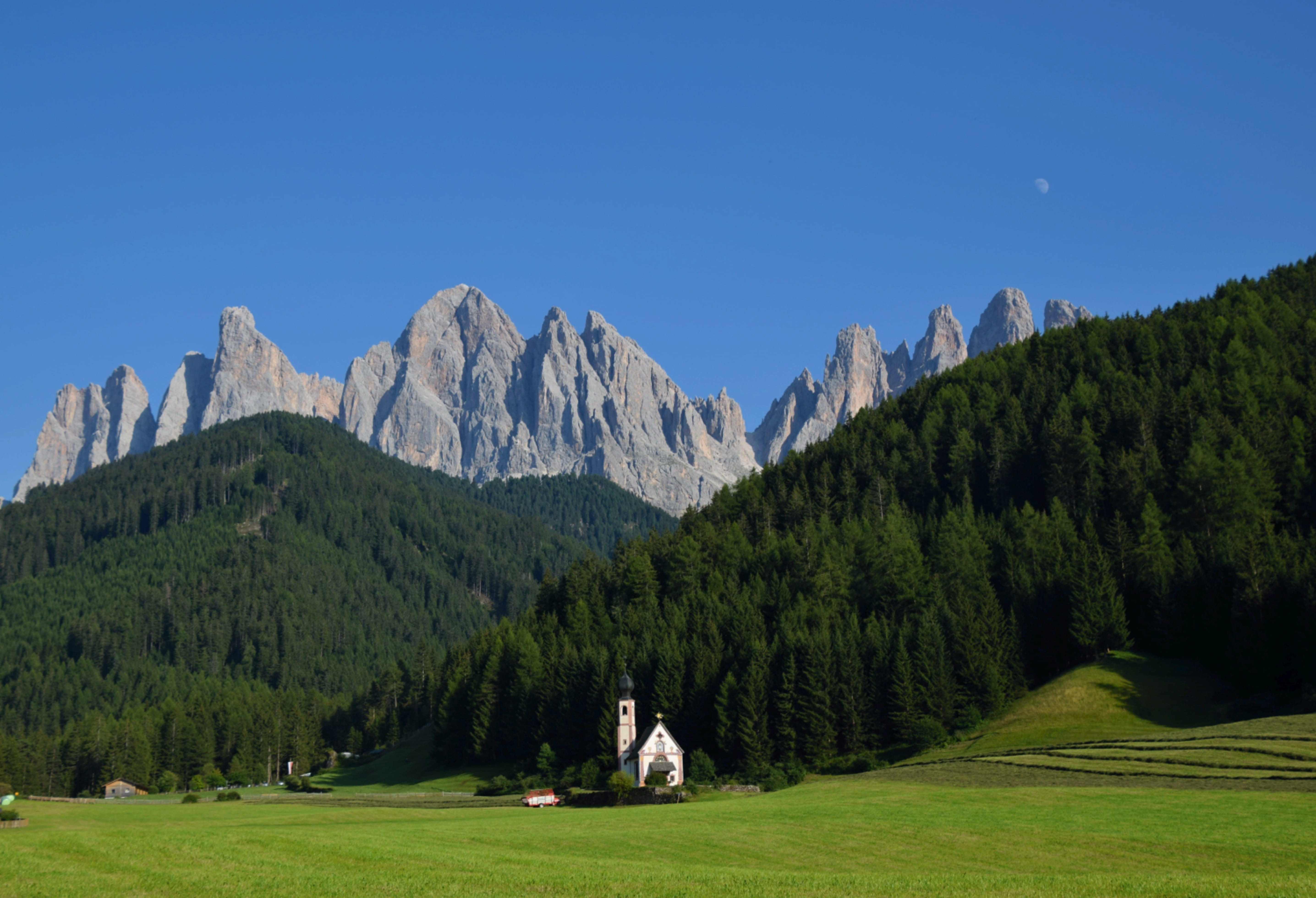 5K, wild, plant, landscape, environment, pine woodland, rock, mountain, day, pine tree, wilderness, unsplash, no people, tree, blue, sun, grass, italy, HD Wallpaper