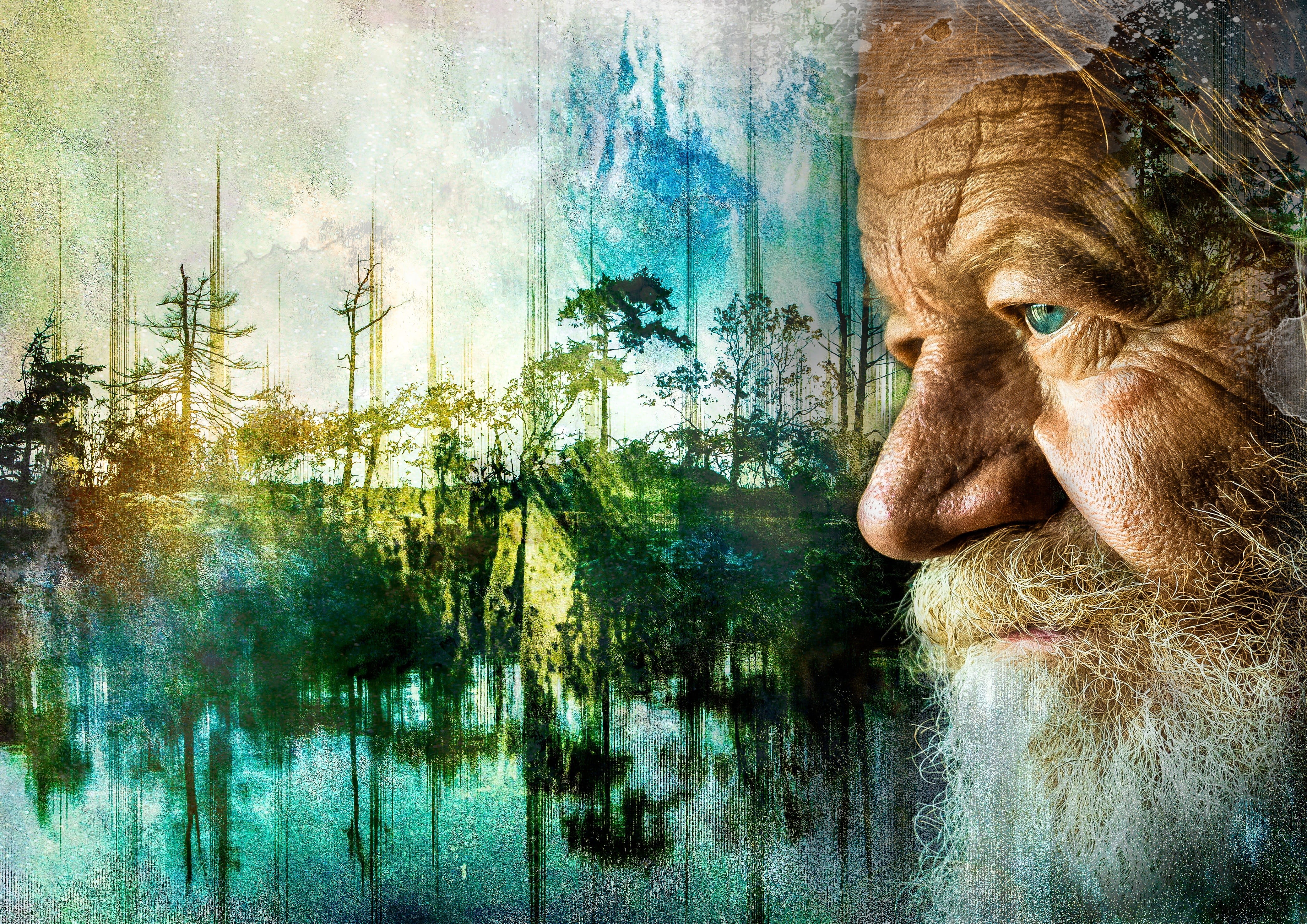 4K, man, pets, neck-point, day, digital composite, forest, animal themes, relaxing, vertebrate, background, plant, older, no people, domestic, natural, HD Wallpaper