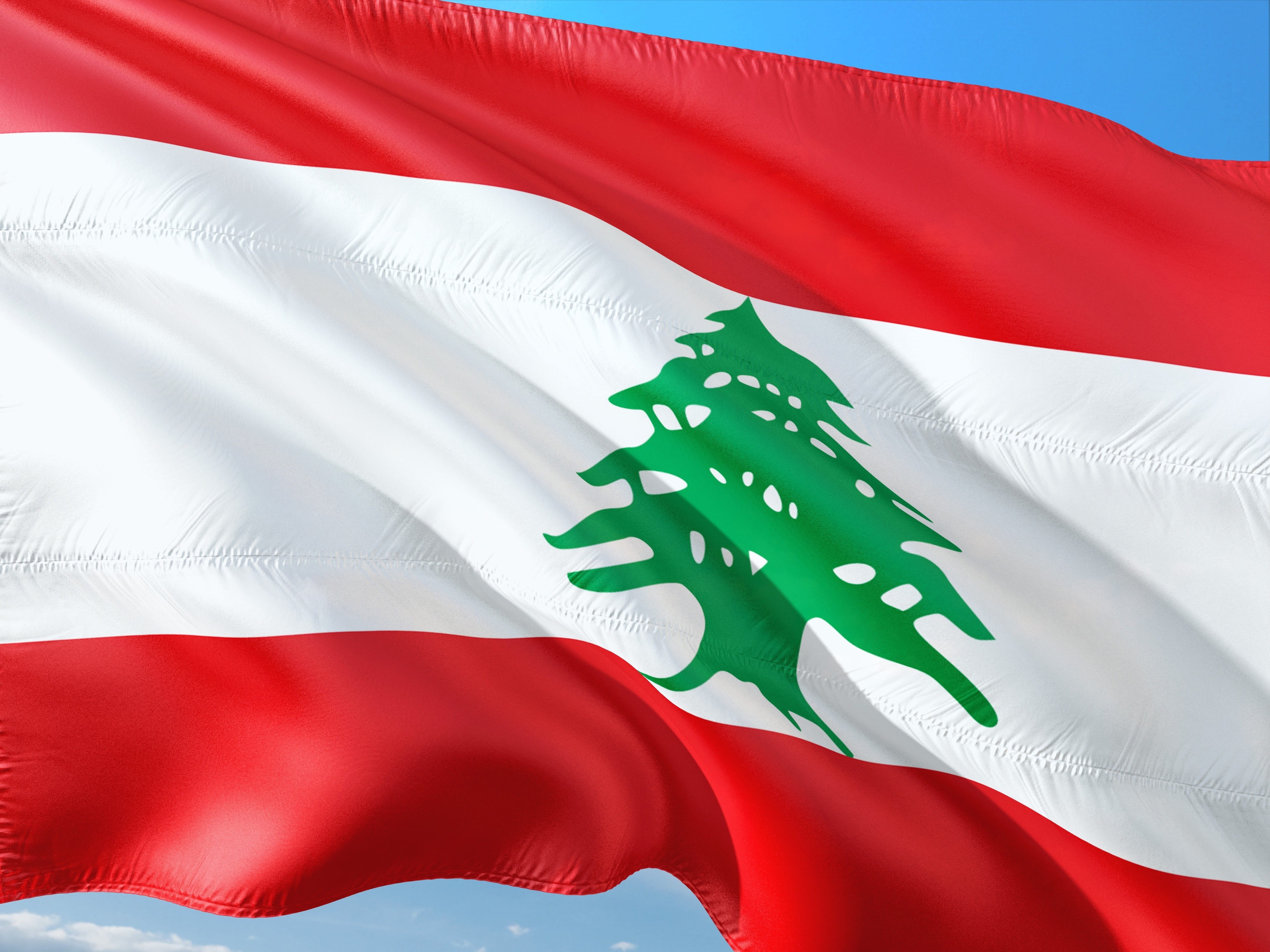 nature, lebanon, mediterranean, no people, international, middle east, symbol, red, shape, close-up, wind, green color, 4K, pride, waving, leaf, flag, HD Wallpaper