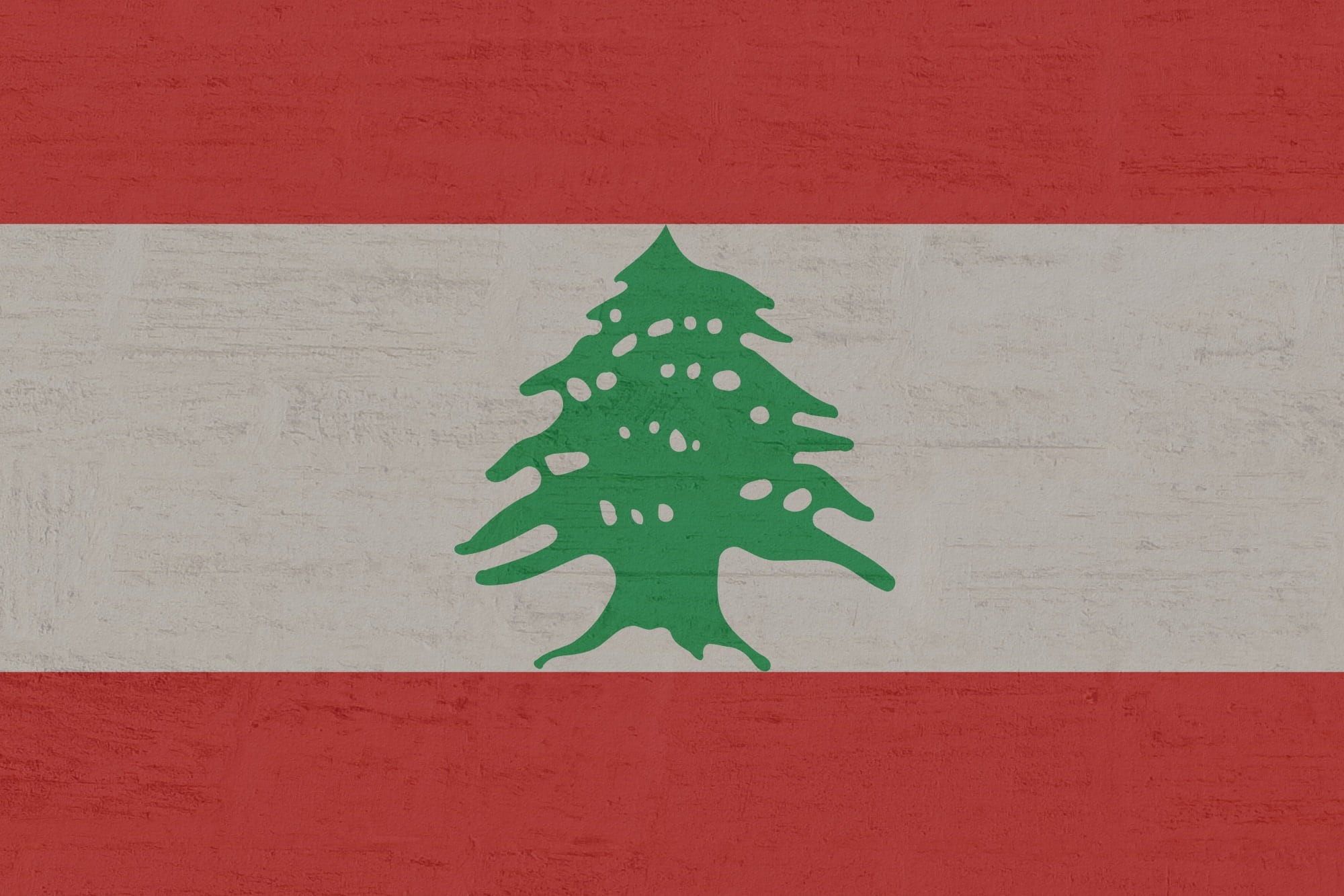 close-up, architecture, nature, christmas tree, lebanon, wall - building feature, 1080P, holiday, no people, tree, holiday - event, christmas, decoration, HD Wallpaper
