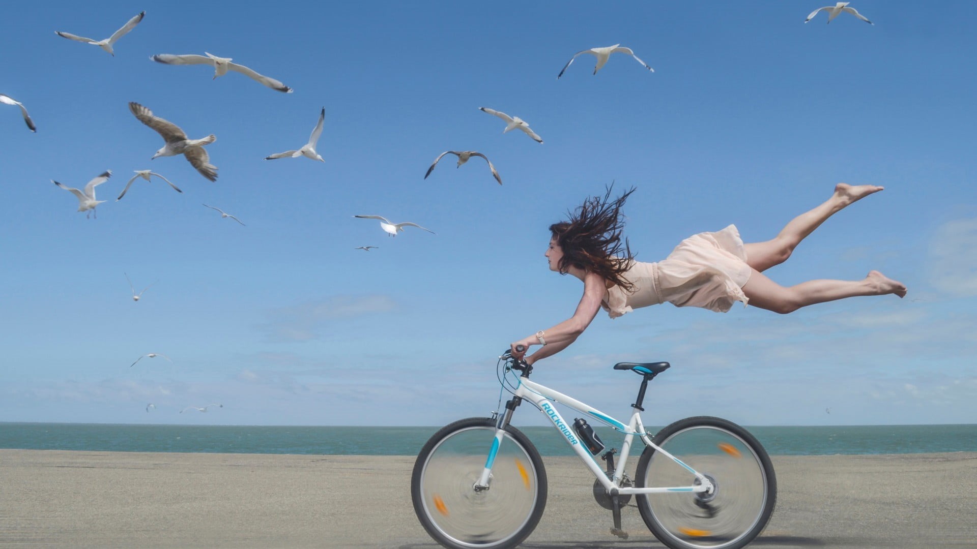 human arm, women, freedom, 1080P, real people, dress, hairstyle, hair, s, white, sea, birds, sleeveless, motion, young adult, animal wildlife, group of animals, HD Wallpaper