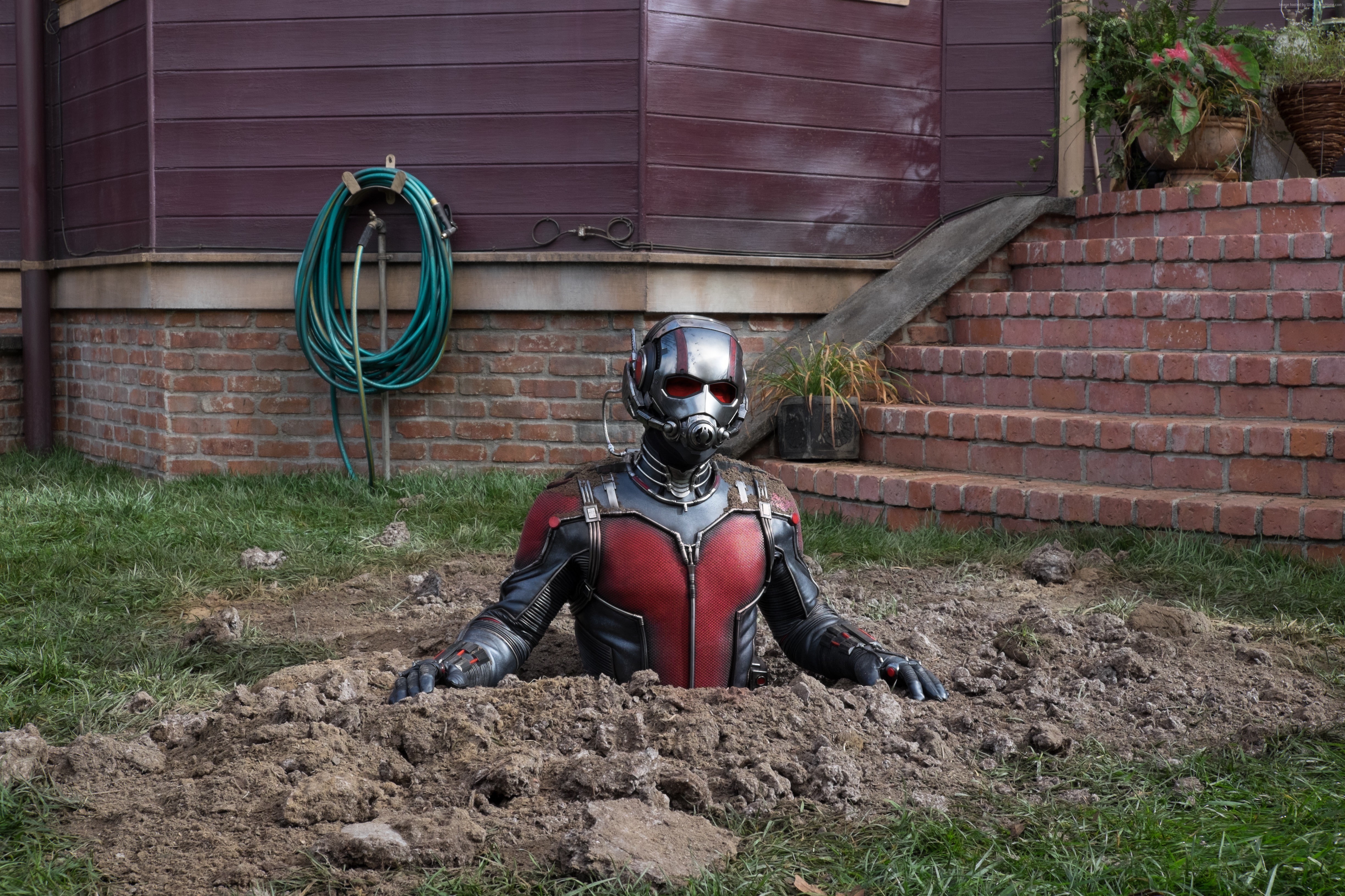 4k, Ant-Man and the Wasp, 4K, Paul Rudd, HD Wallpaper