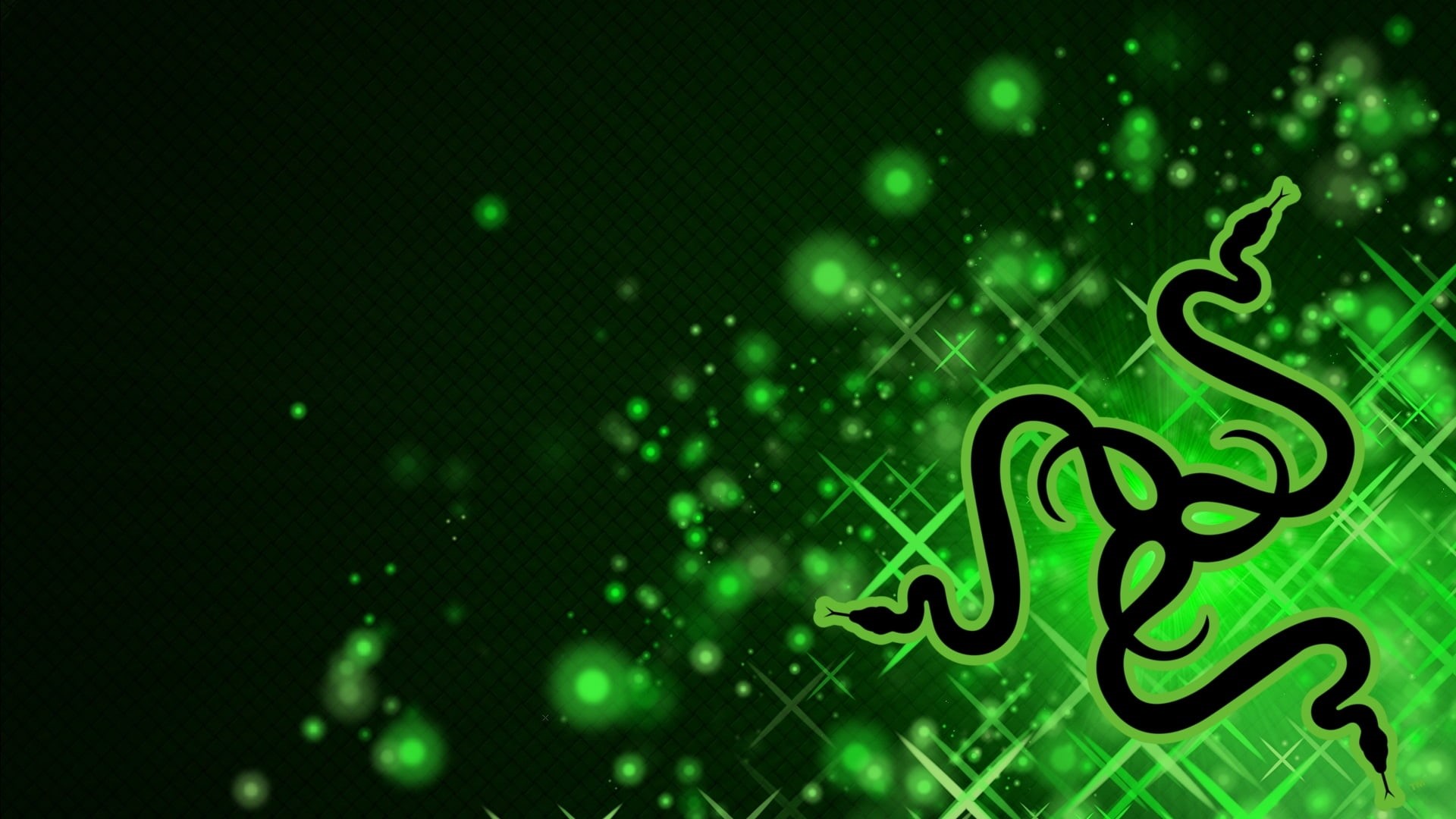 computer Graphic, decoration, glowing, pattern, water, multi Colored, defocused, Hi-Tech, creativity, green color, blue, lighting equipment, glitter, celebration, HD Wallpaper