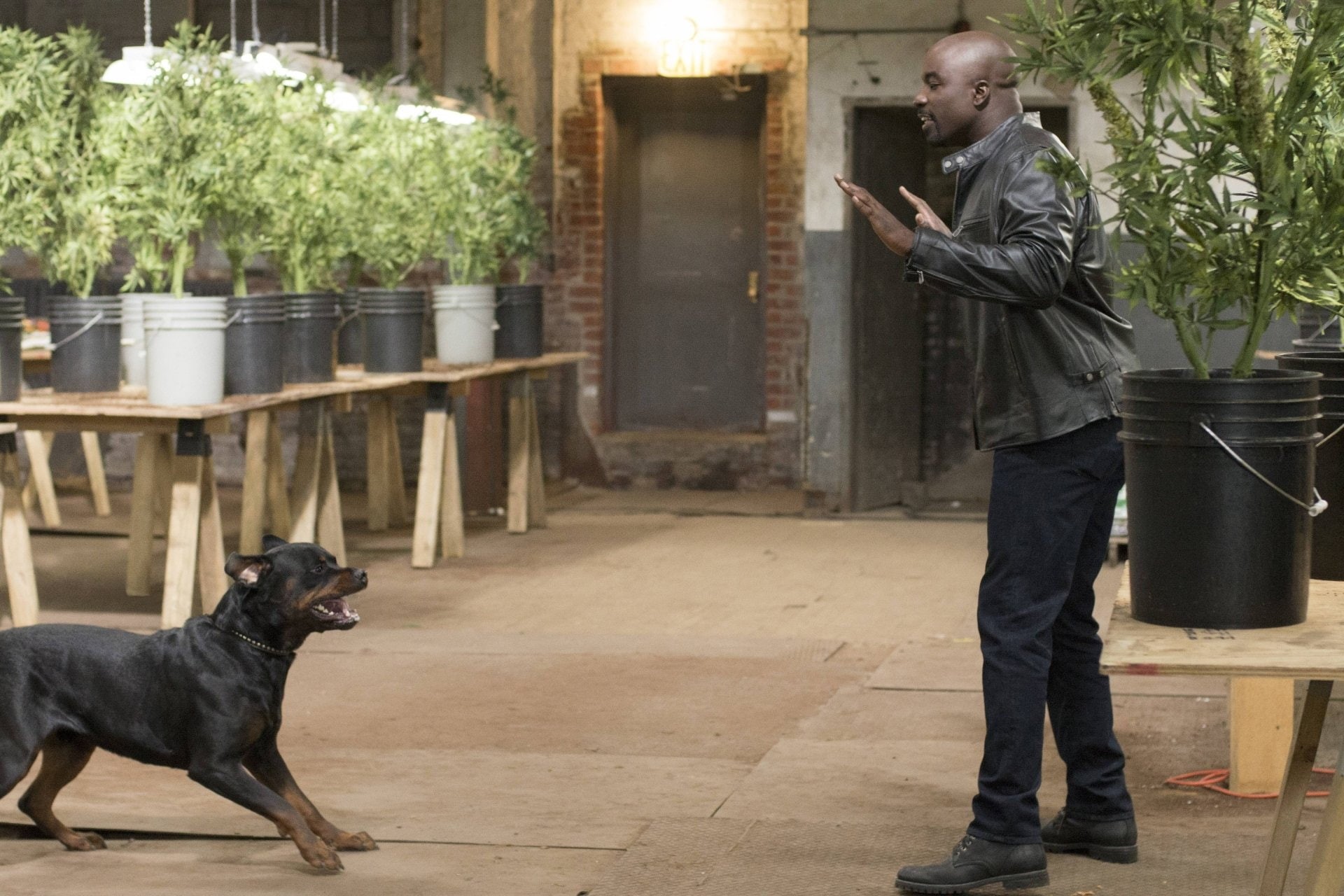 Mike Colter, 1080P, Jessica Jones, TV Show, HD Wallpaper