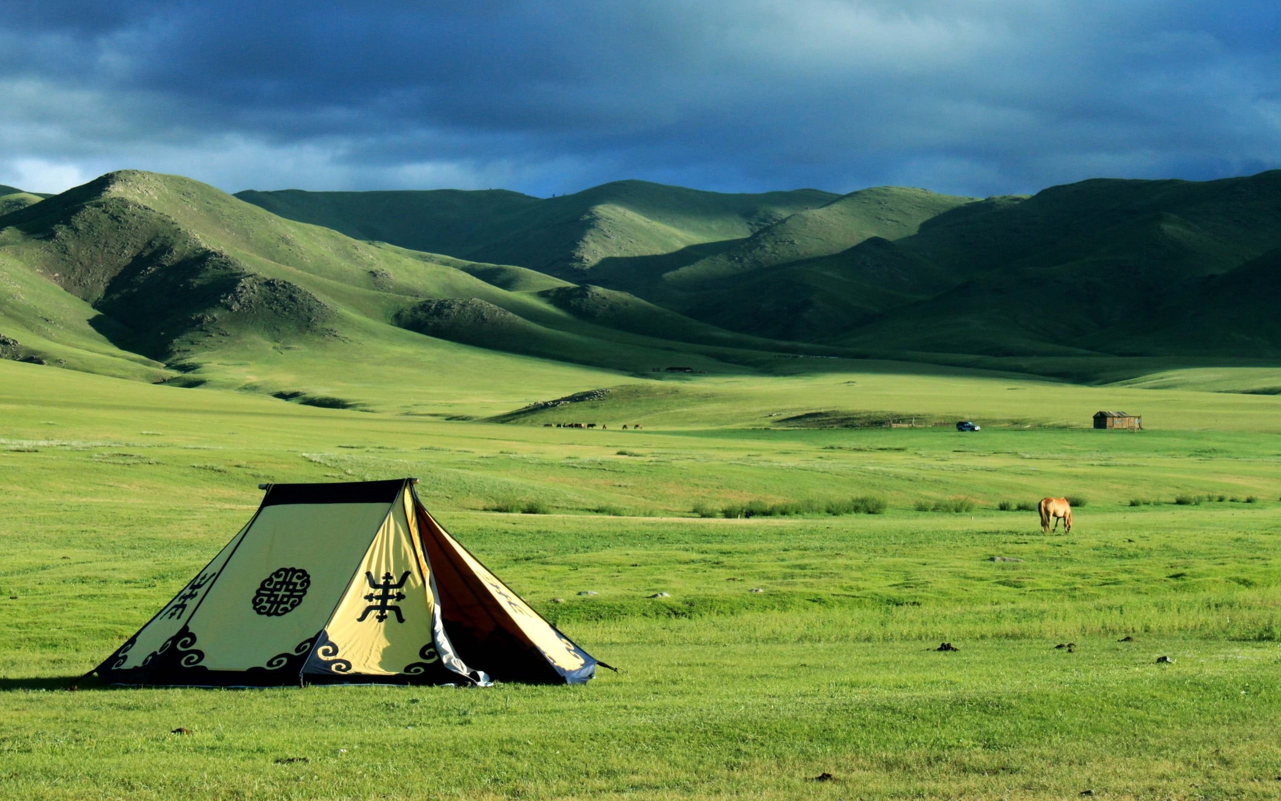 beauty in nature, grass, black, yellow, tranquility, sky, day, field, mountain, land, tent, environment, dome, scenics - nature, livestock, green color, HD Wallpaper
