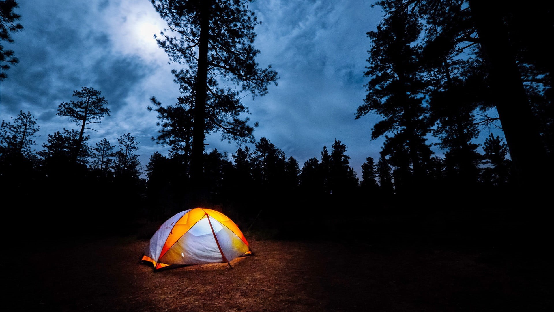 pine tree, camping, nature, leisure activity, non-urban scene, land, adventure, plant, 1080P, woodland, activity, white, tent, sky, night, remote, tree, HD Wallpaper