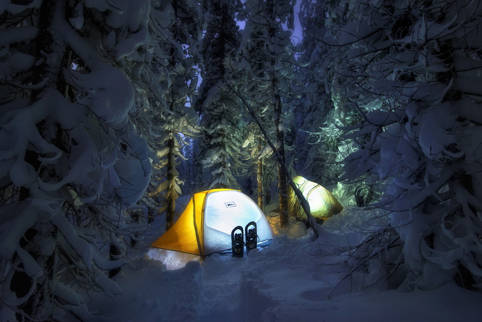 forest, winter, night, camping, tent, snow, 1080P, HD Wallpaper