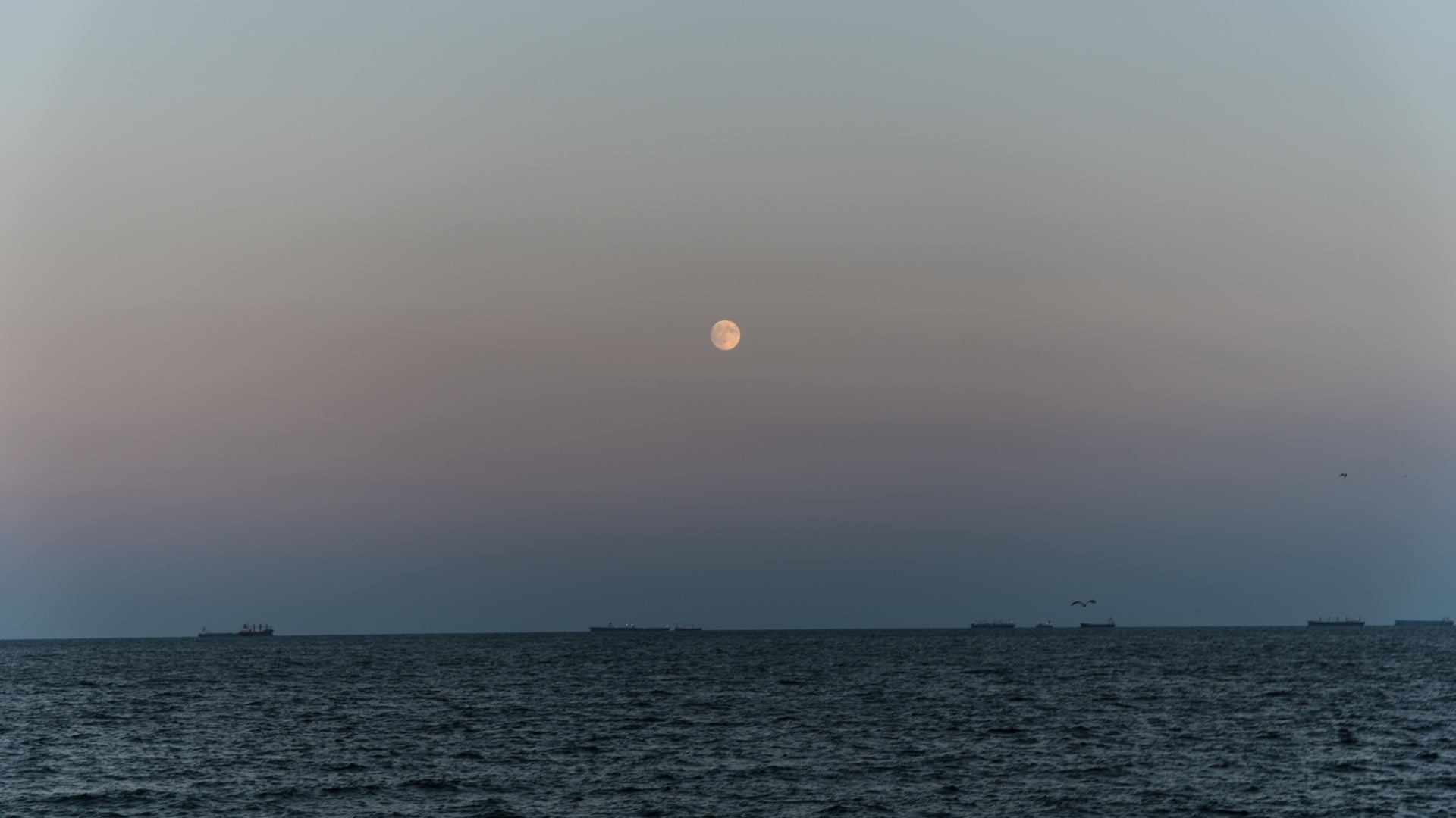 sunset, black, space, night, Moon, tranquil scene, astronomy, gray, non-urban scene, planetary moon, laptop, hp, water, nature, sky, sea, horizon over water, HD Wallpaper
