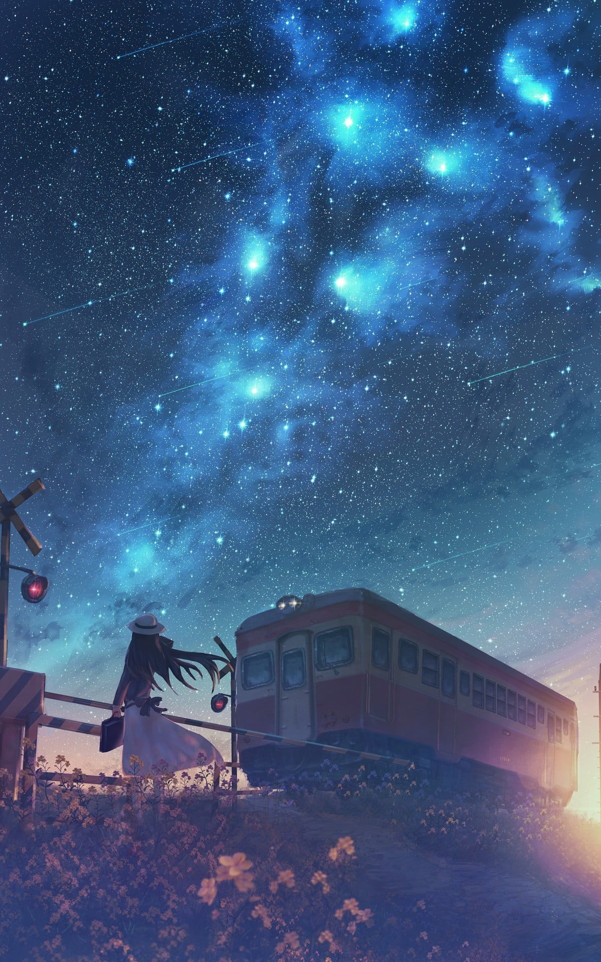 starry night, stars, 1080P, anime girls, night, original characters, anime, railway crossing, emotion, Phone HD Wallpaper