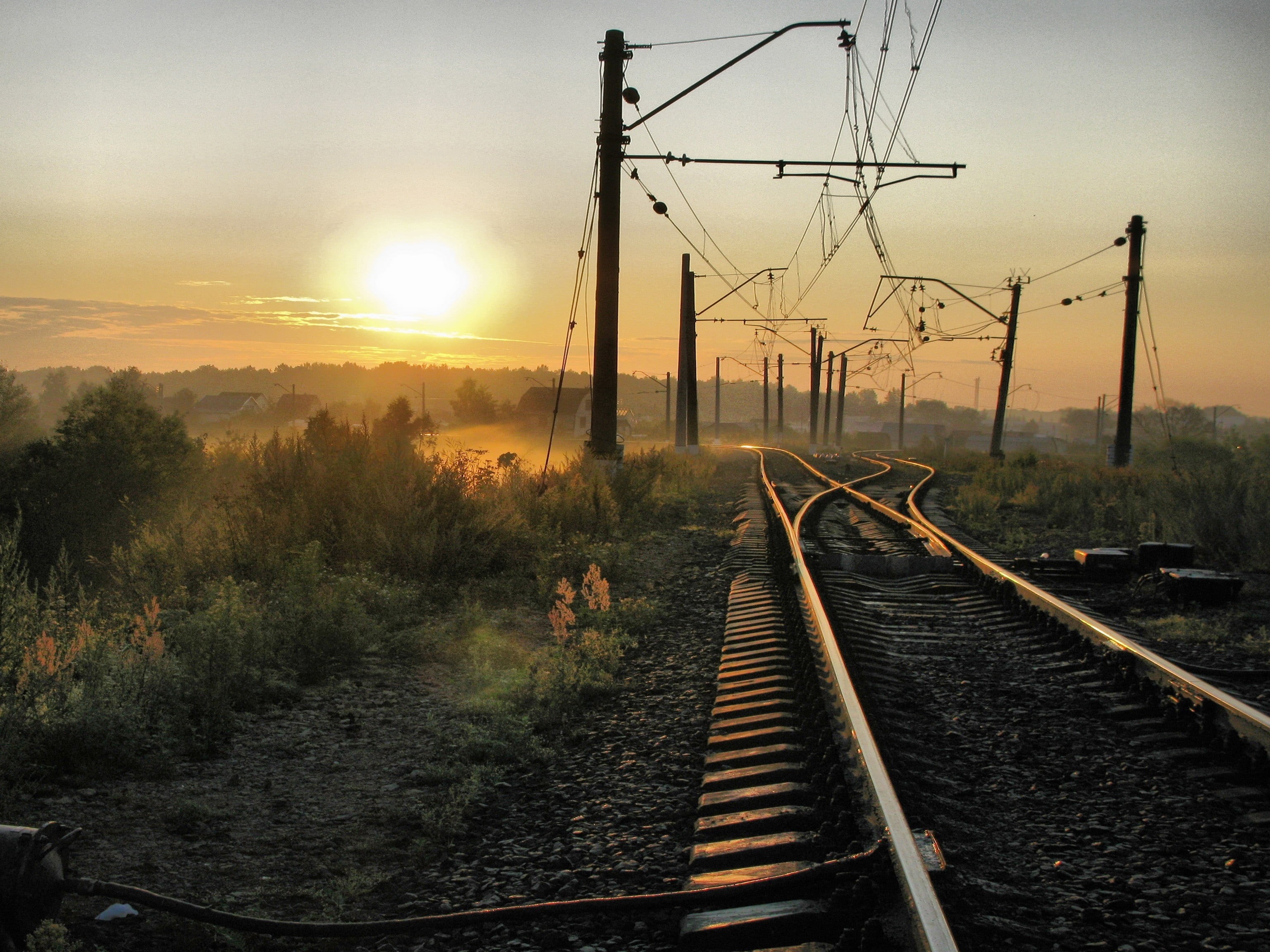 forest, street, power Line, sun, sunrise - Dawn, direction, sky, plant, no People, columns, outdoors, transportation, electricity, railroad Track, connection, HD Wallpaper