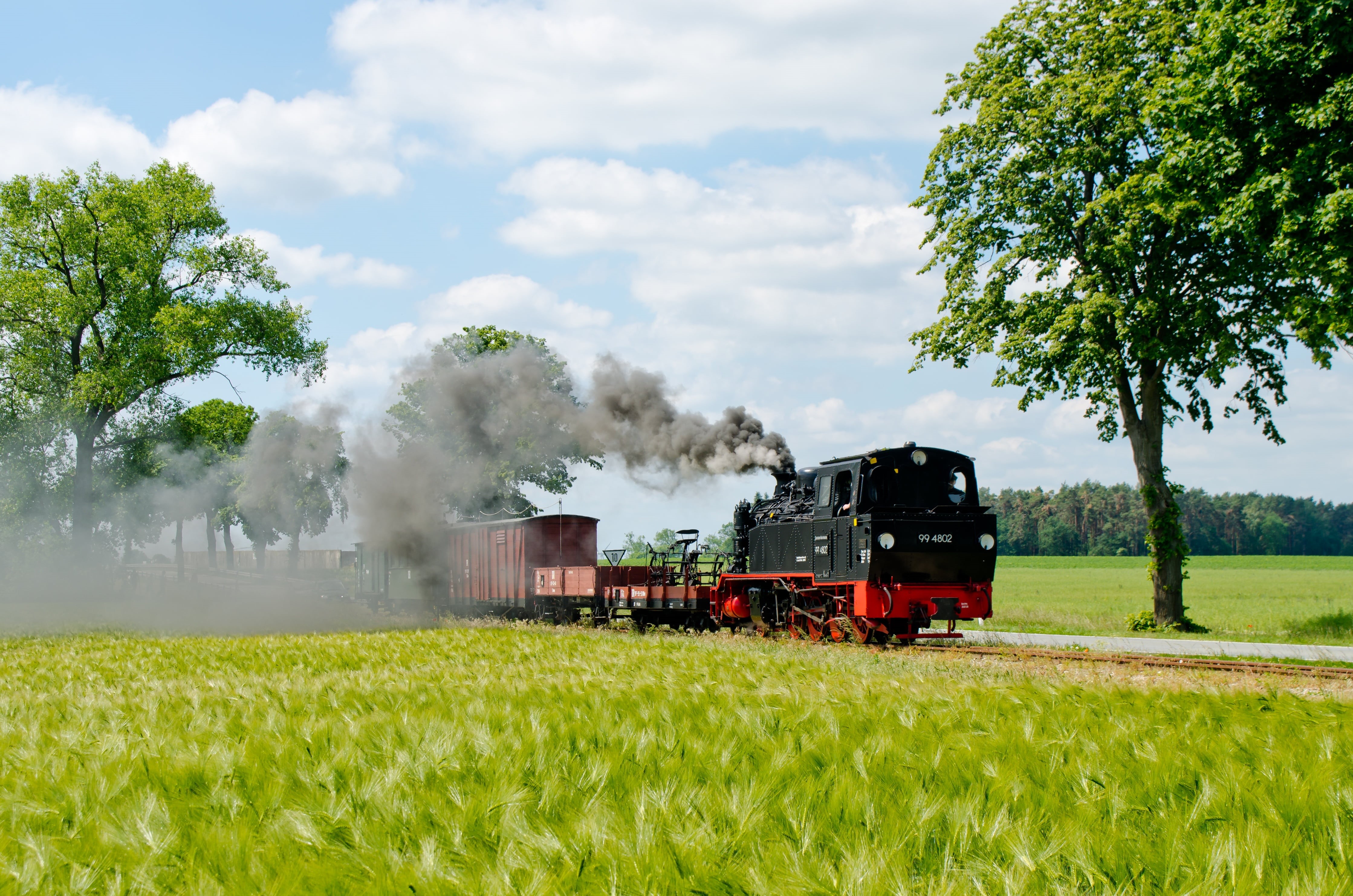 steam railway, tree, metal, historically, train, no people, railway nostalgia, nostalgia, force, formerly, steam, agriculture, prignitz, 4K, field, heat, HD Wallpaper