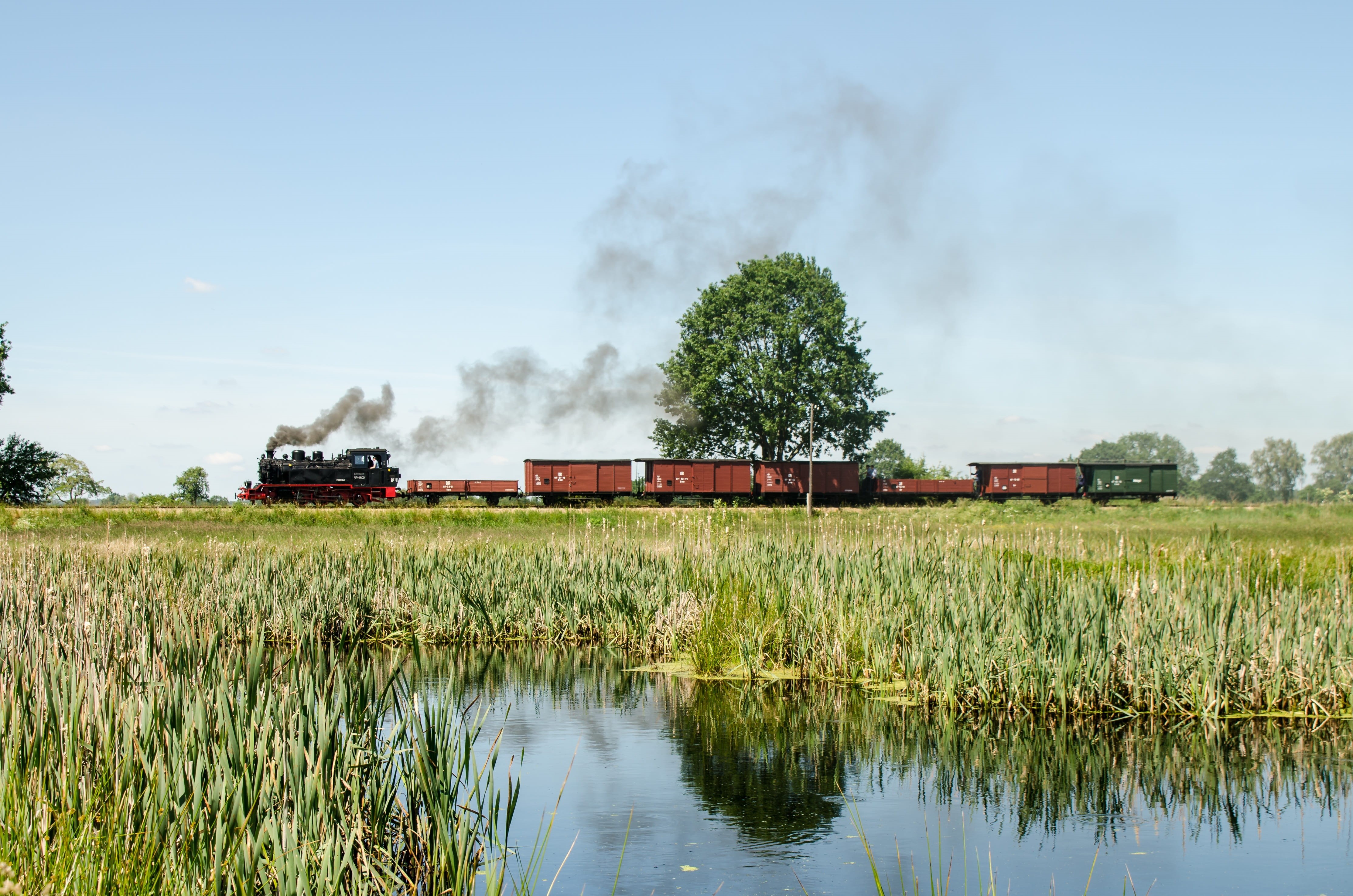 formerly, transport, railway, beauty in nature, water, nostalgia, sky, steam railway, train, metal, nature, tree, rail transportation, prignitz, memory, HD Wallpaper