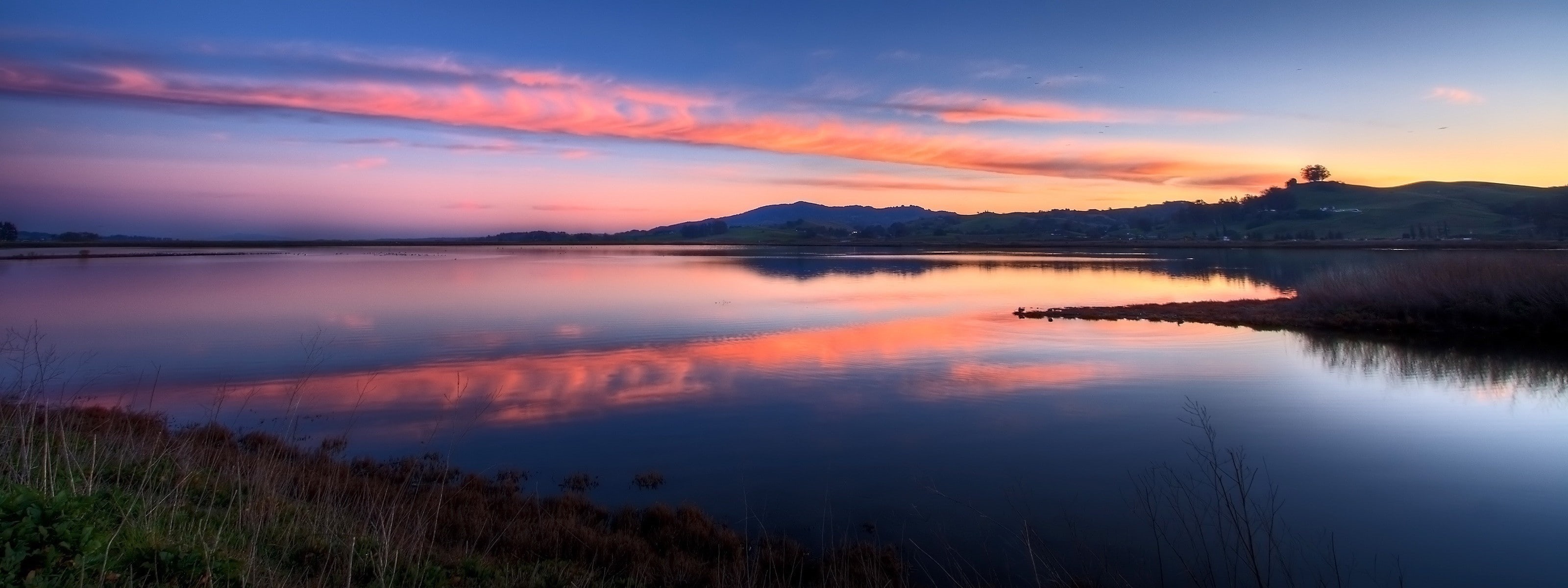 screen, 2K, duel, nature, dual, animals, landscapes, HD Wallpaper