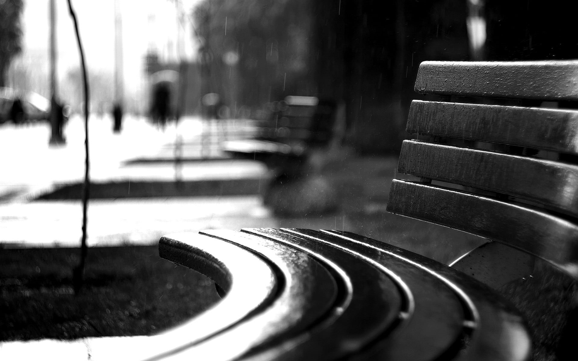 land vehicle, curve, mode of transportation, grayscale, day, city, photo, outdoors, nature, focus on foreground, motion, motor vehicle, rain, 1080P, monochrome, HD Wallpaper