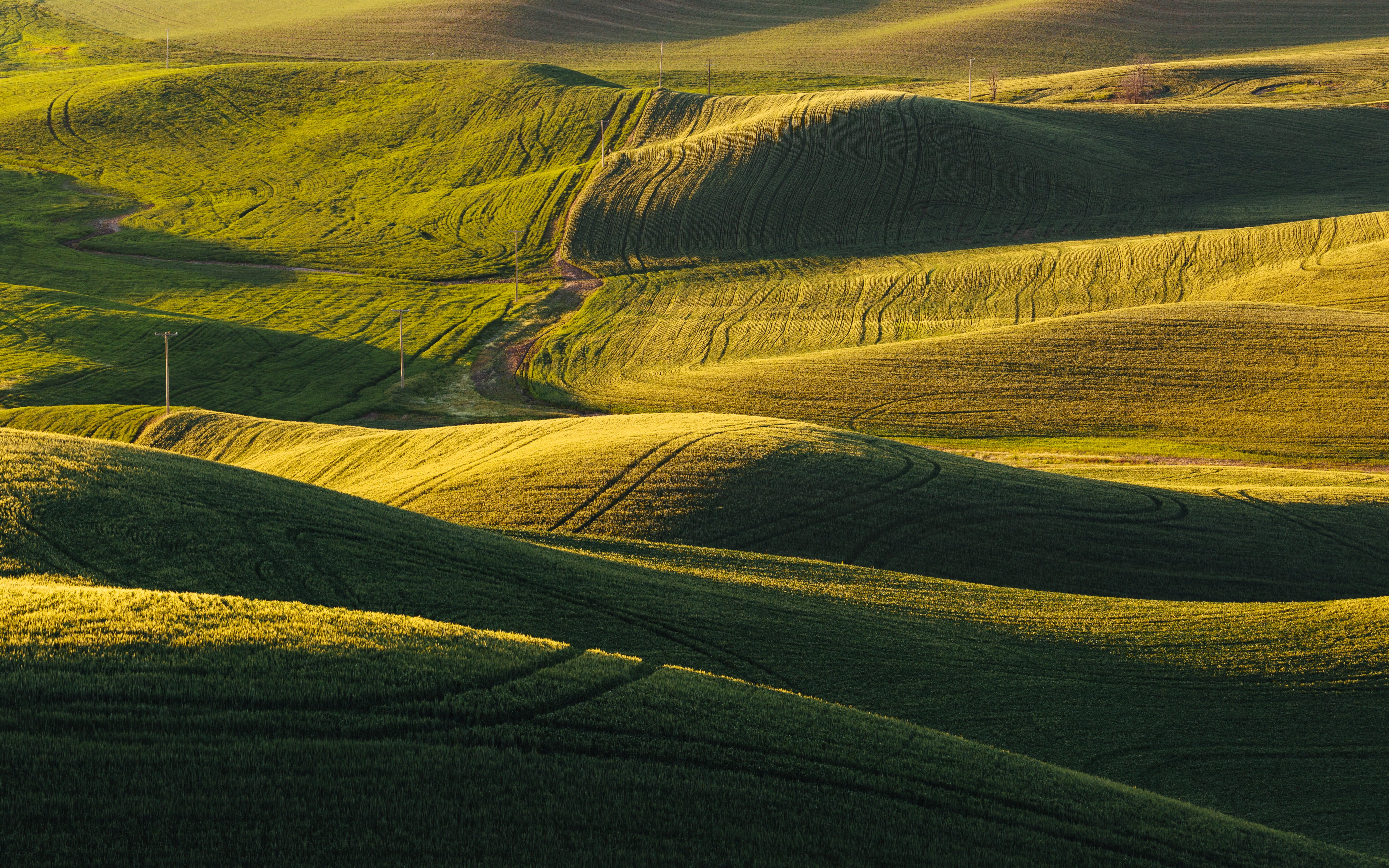 outdoors, rural Scene, land, 5K, field, landscape, john, Pacific Northwest, landscaped, farms, desert, Endlessly, hill, Palouse, Canon EOS 5D Mark III, HD Wallpaper