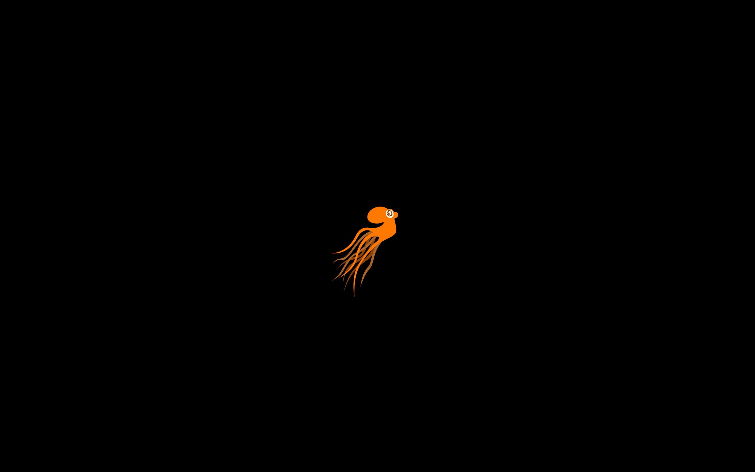 nature, fragility, animal wildlife, vulnerability, animal, outdoors, vertebrate, minimalism, black background, Medusa, 2K, sky, animal themes, octopus, HD Wallpaper