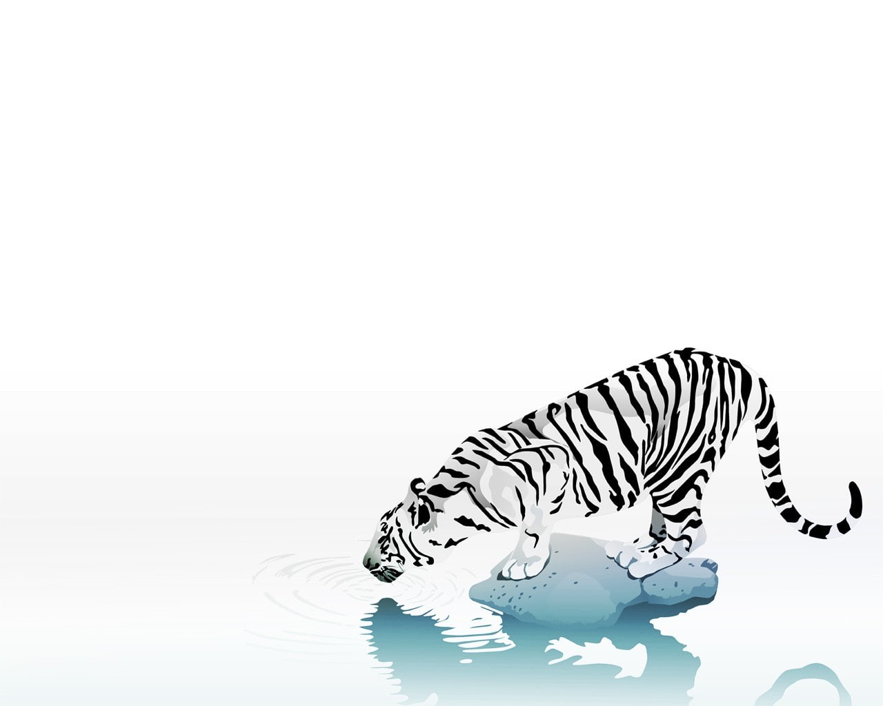 tiger, simple background, 720P, animals, white background, HD Wallpaper