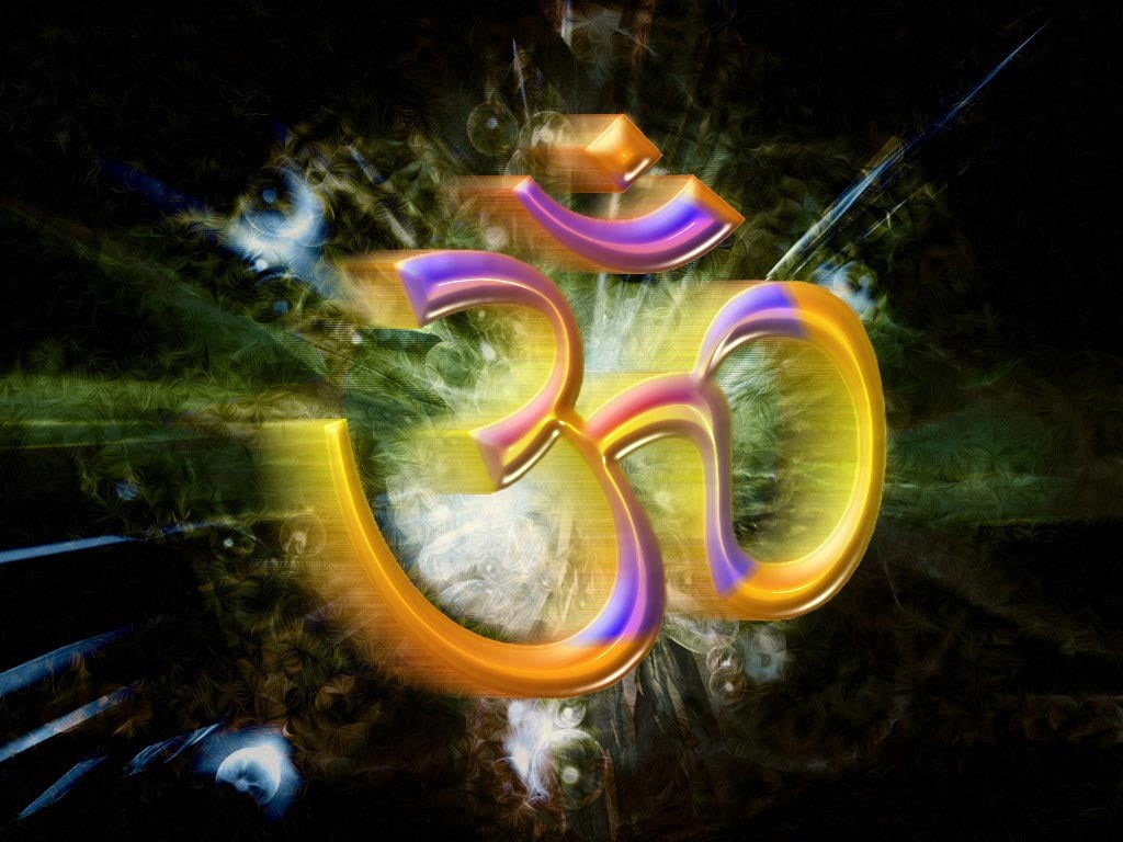 land, long exposure, hindu, sea, 480P, animal themes, purple, underwater, night, transparent, motion, illuminated, yellow, animal, plant, ohm, outdoors, HD Wallpaper