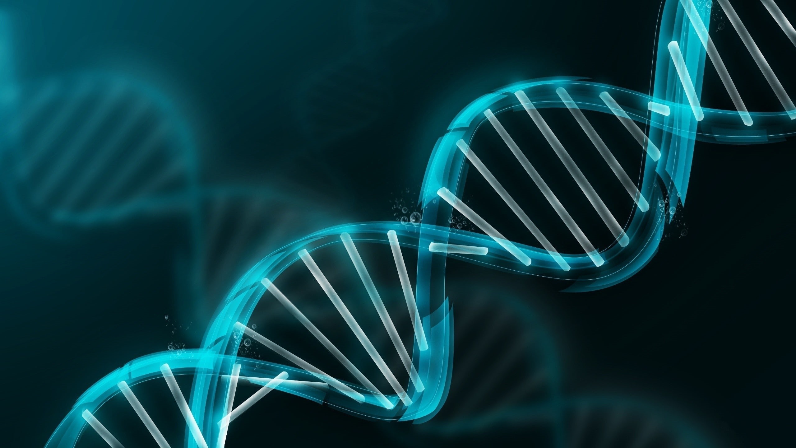 2K, DNA, abstract, HD Wallpaper
