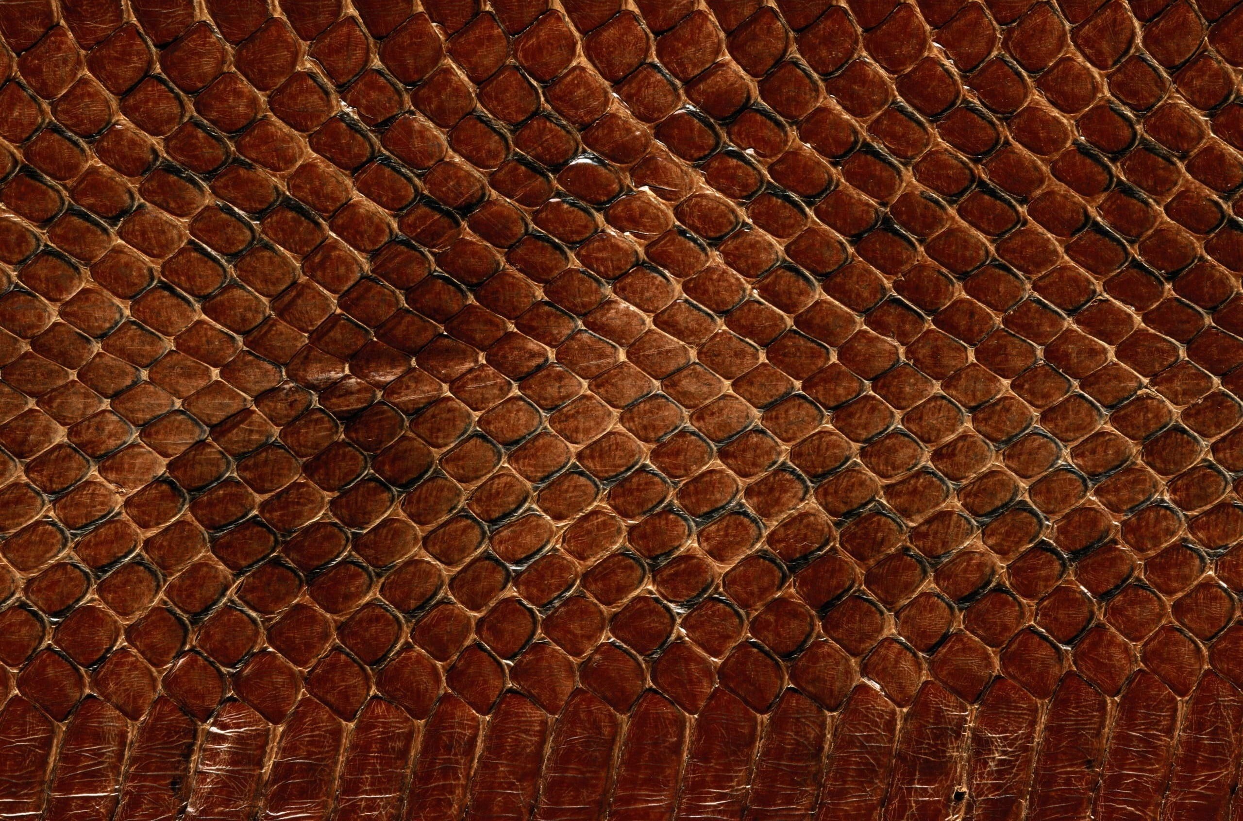 material, 2K, steel, indoors, animal, macro, pattern, dark, textured, wall, backgrounds, concrete, art and craft, backdrop, abstract, pavement, brown, HD Wallpaper