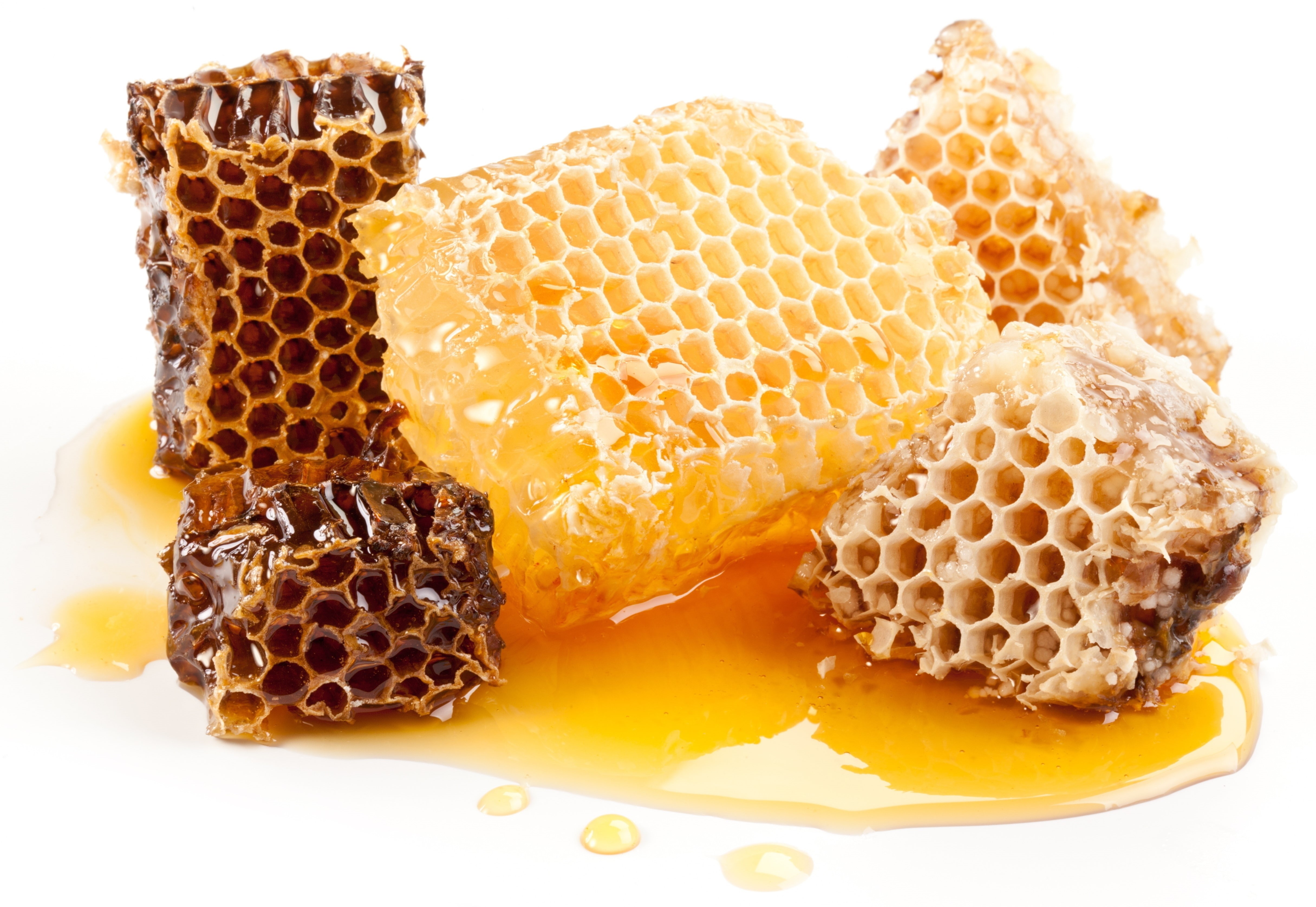 4K, animal, white background, design, apiculture, animals in the wild, sweet food, hexagon, no people, indoors, animal themes, food, food and drink, wellbeing, HD Wallpaper