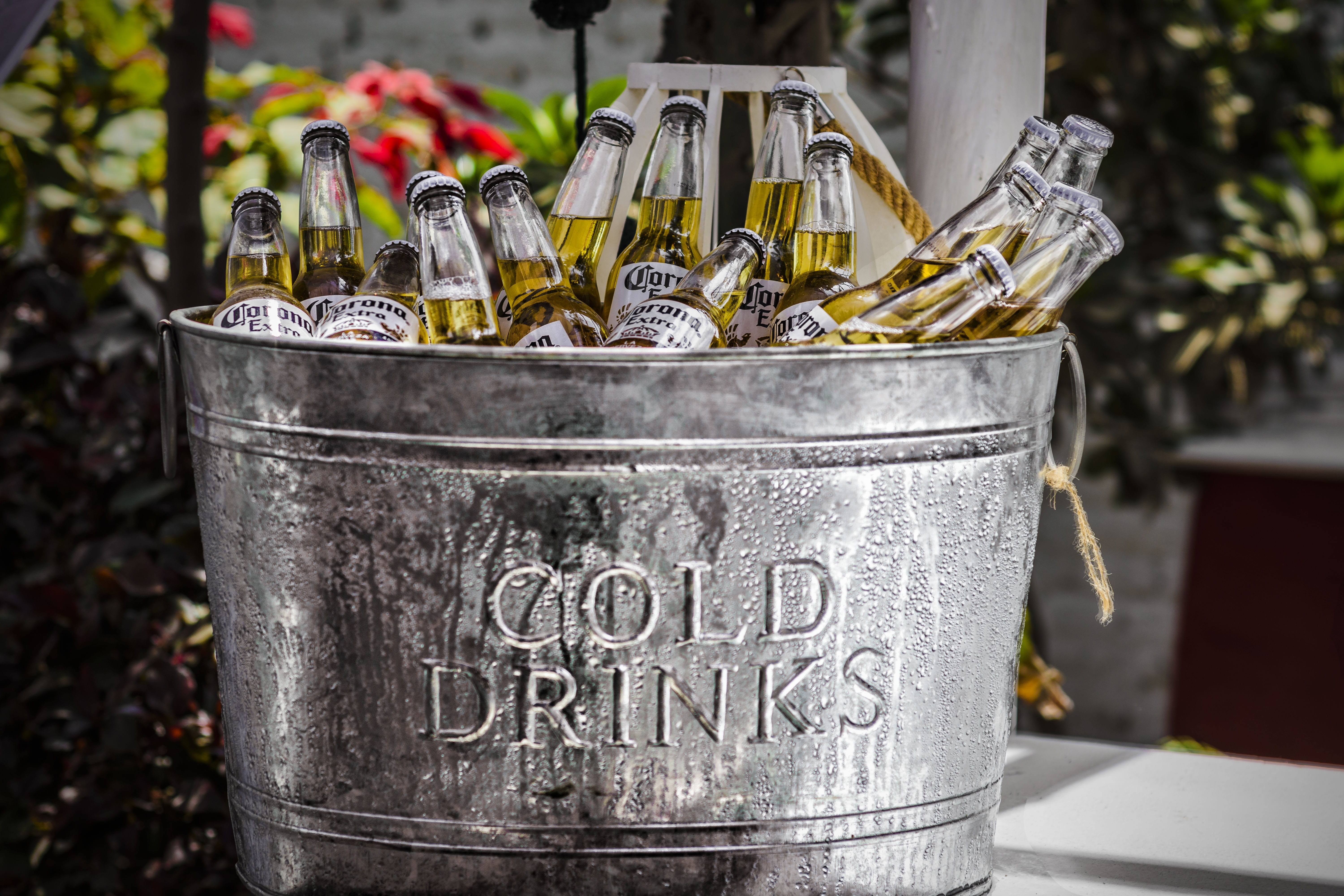 stainless, script, yeast, bottle, close-up, nature, food and drink, coronita, cane, brewer, beer, glass - material, bucket, cold, non-western script, still life, HD Wallpaper