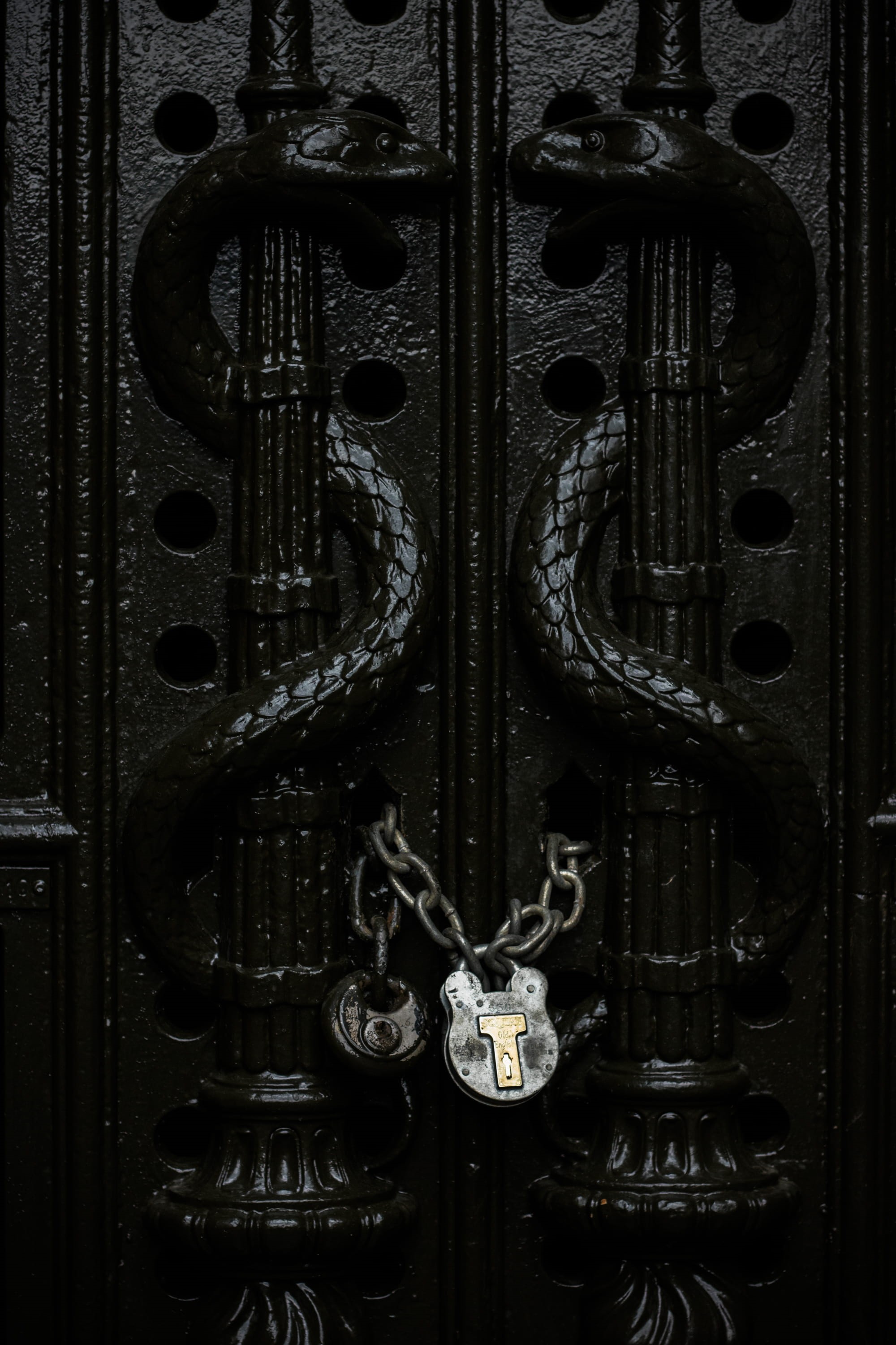 protection, gate, antique, old, indoors, gray, design, snake, cemetery, padlock, knob, texture, london, seceret, close-up, 2K, entrance, closeup, full frame, Phone HD Wallpaper