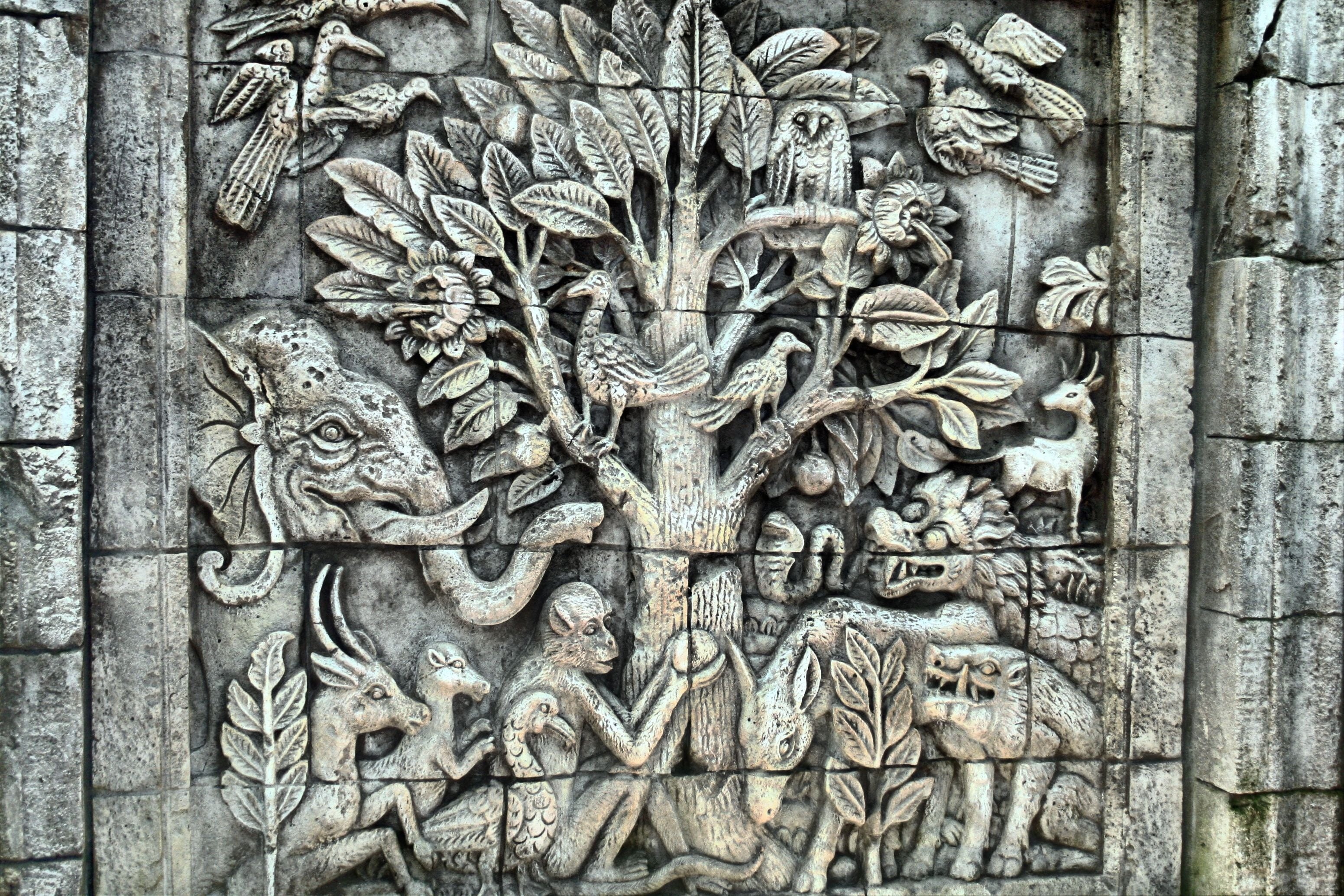 full frame, wall, animals, built structure, creativity, art and craft, day, the past, stone, concrete, building, sculpture, pattern, representation, temple, HD Wallpaper
