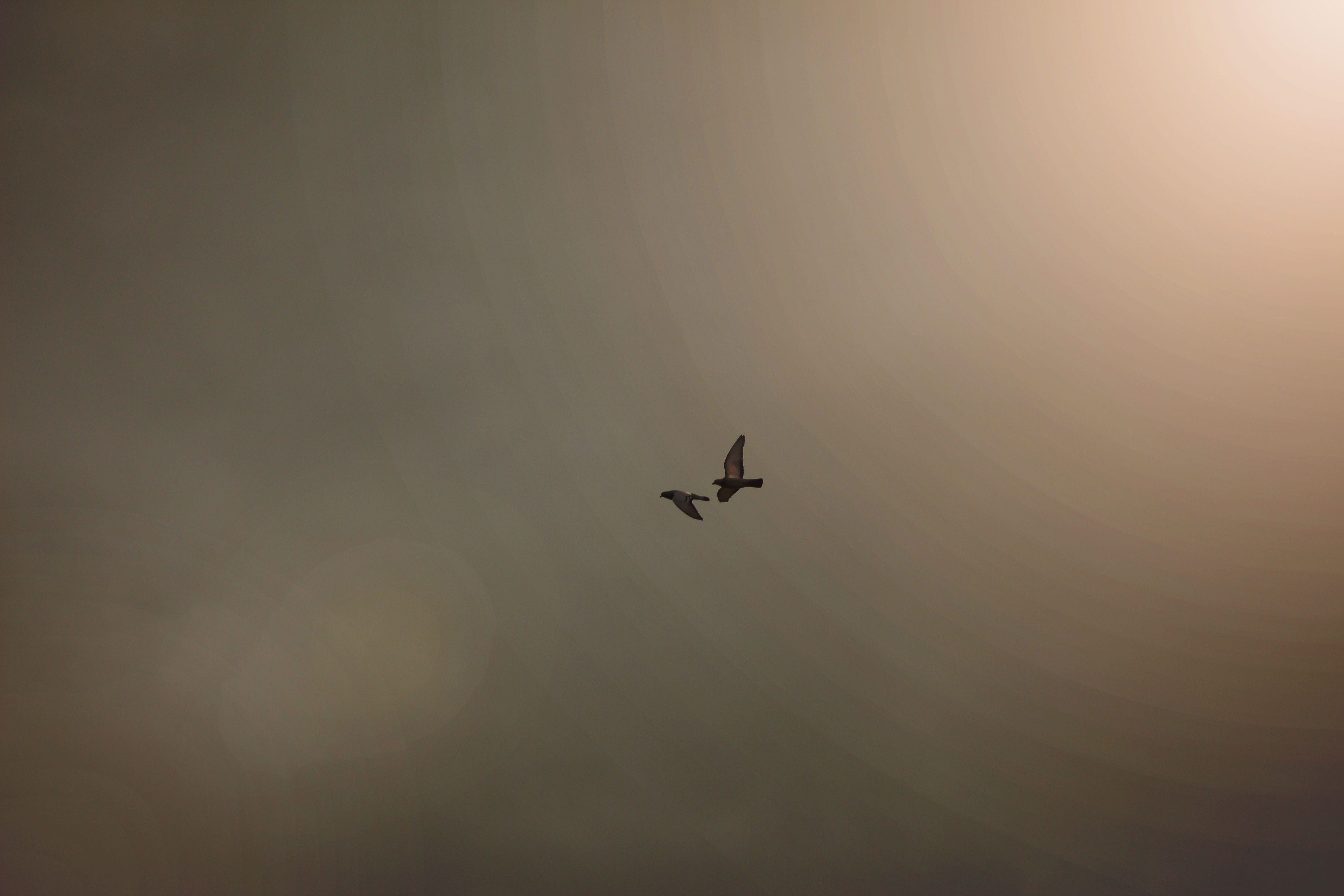 transportation, plane, day, mid-air, on the move, scenics - nature, flying, no people, low angle view, outdoors, sivas, nature, sky, travel, air vehicle, HD Wallpaper