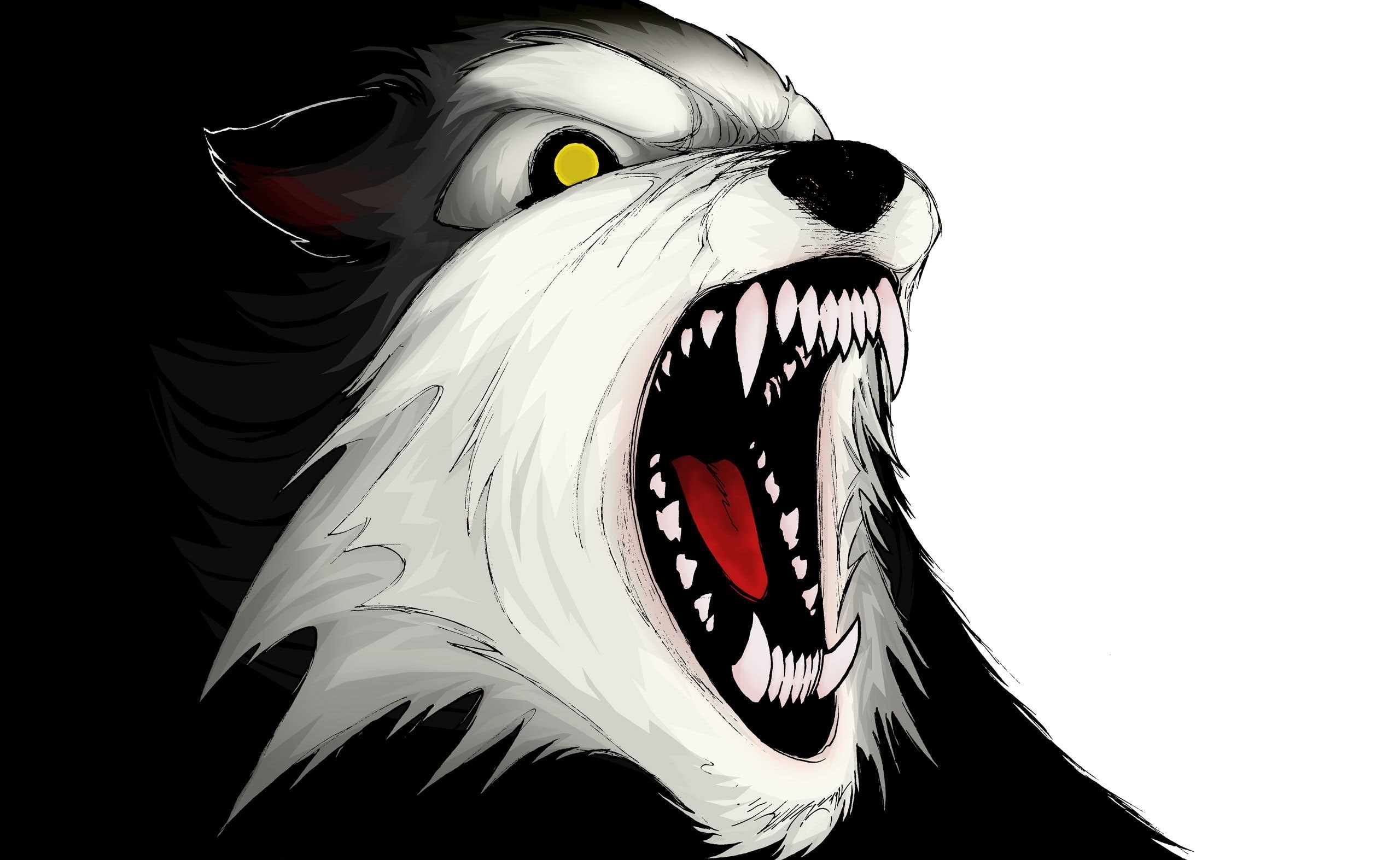 animal mouth, vertebrate, animal representation, 2K, close-up, animal teeth, animals in the wild, black, Wolf, white, animal themes, animal, representation, HD Wallpaper