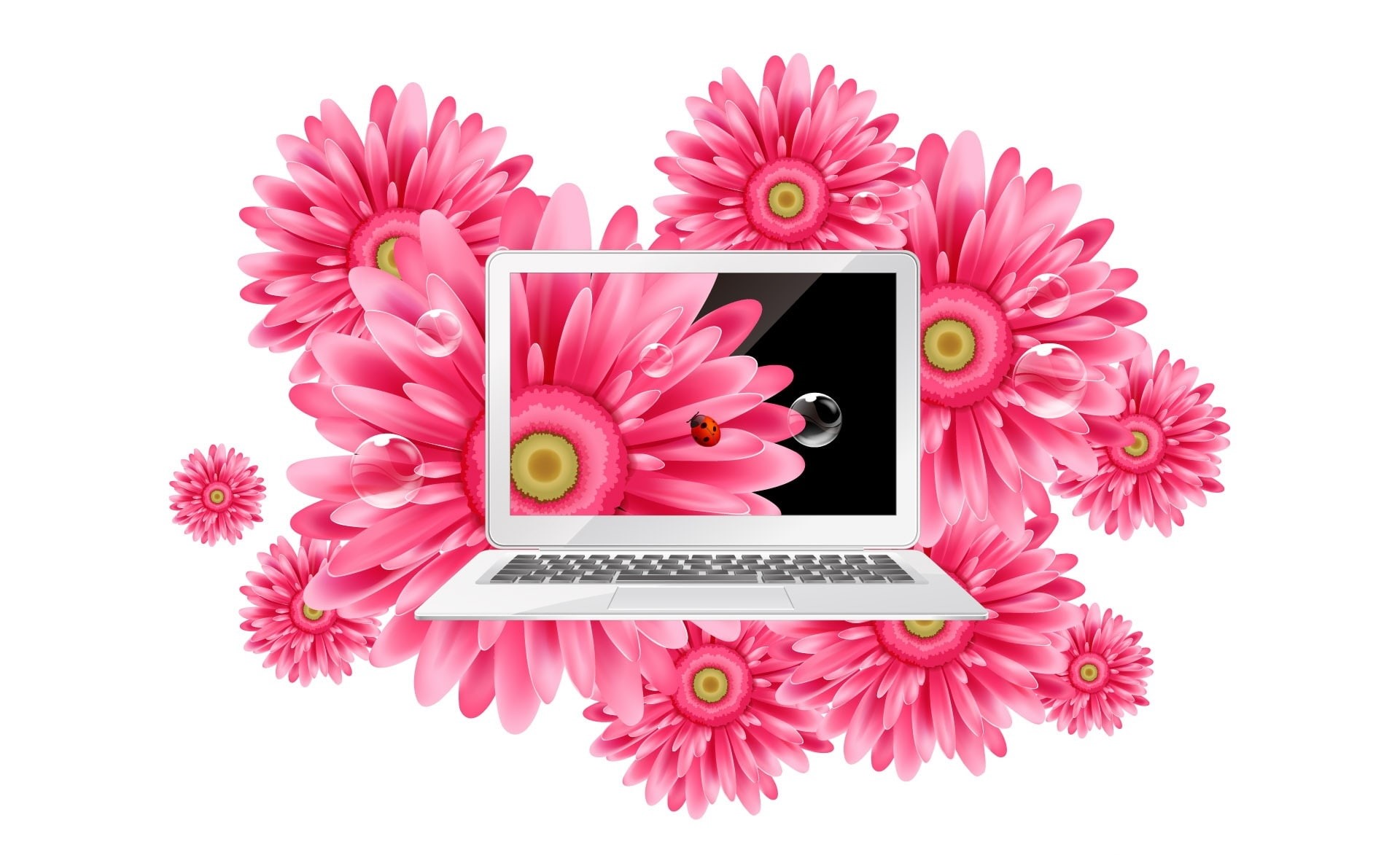 no people, Laptop, flower head, 1080P, white background, connection, technology, flower, cut out, Vector Art, flower arrangement, indoors, studio shot, HD Wallpaper