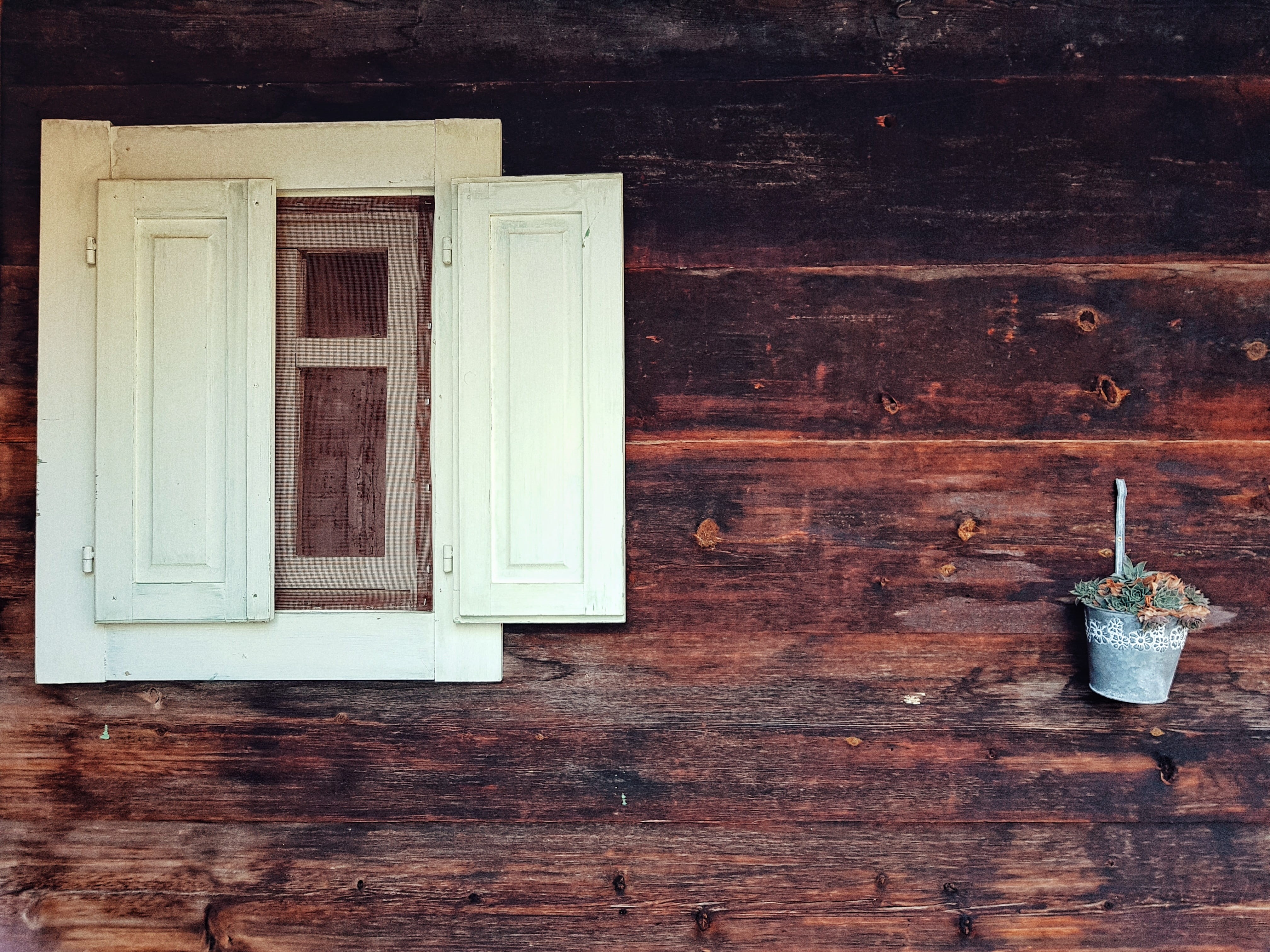 window, porthole, built structure, flowers, flare, light, wooden, hardwood, building exterior, brown, wood, white, window frame, house, bucket, cabinet, HD Wallpaper