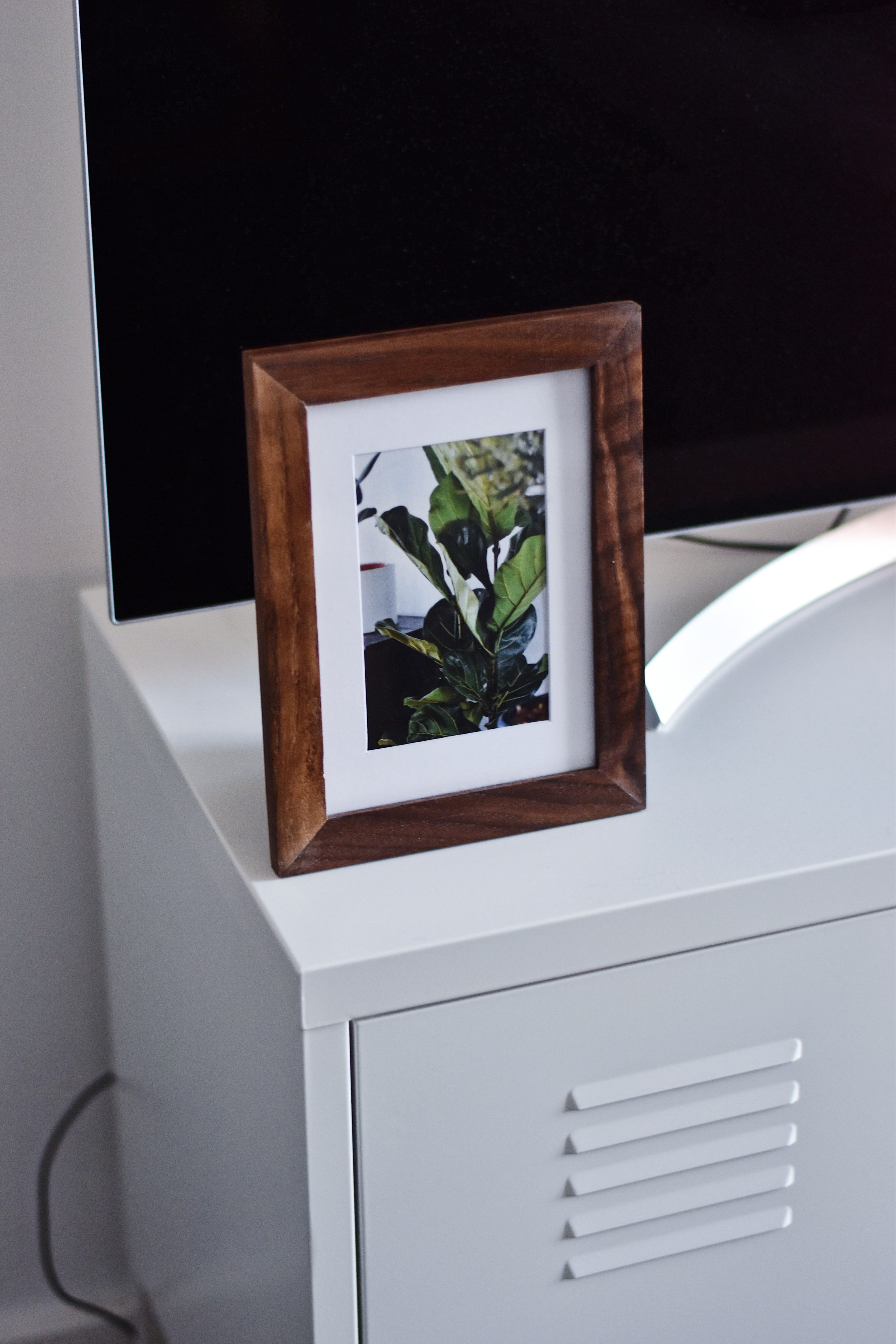 plant, flower, sideboard, container, white color, day, houseplant, leafed, flooring, hardwood, frame, leaf, architecture, blossom, art, painting, decoration, Phone HD Wallpaper