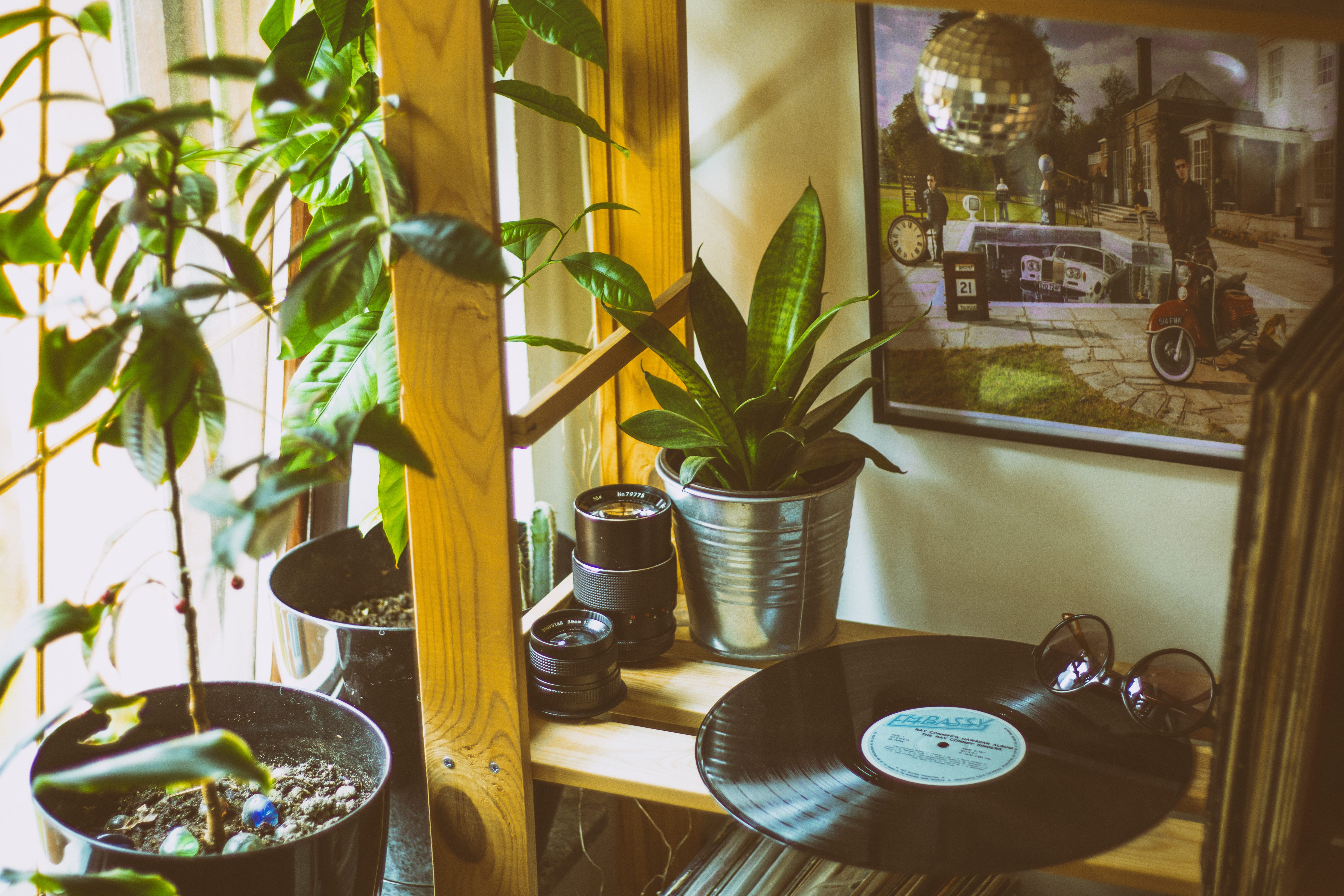 black, brown, table, restaurant, wood, container, classic, day, phonograph record, 5K, nature, plant, potted plant, disco ball, room, record, home interior, HD Wallpaper