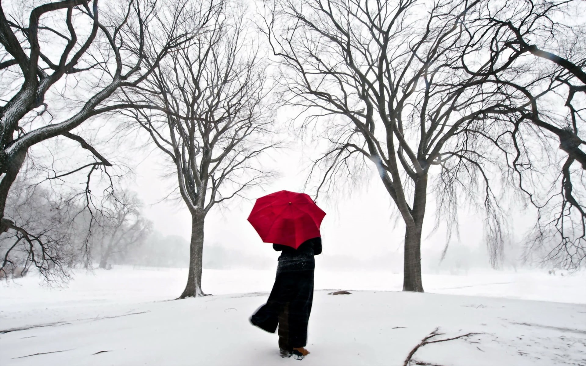 walking, cold - Temperature, white, frost, extreme weather, snow, blizzard, warm clothing, season, street, covering, coat, red, tree, women, beauty in nature, HD Wallpaper