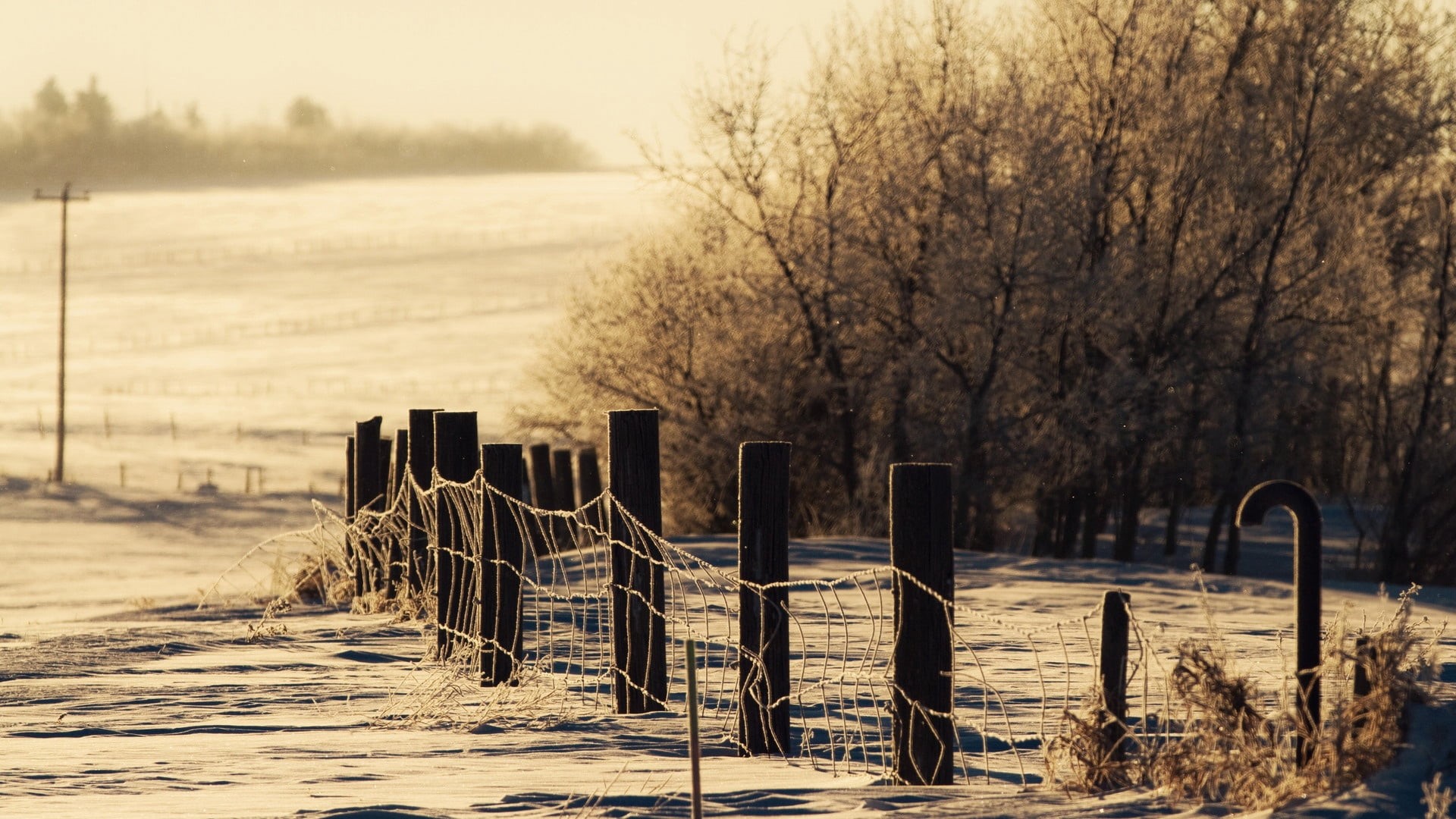 outdoors, plant, beauty In Nature, wooden, in a row, winter, tree, season, color Image, trees, autumn, post, cover, snow, nature, water, snowdrifts, sky, HD Wallpaper