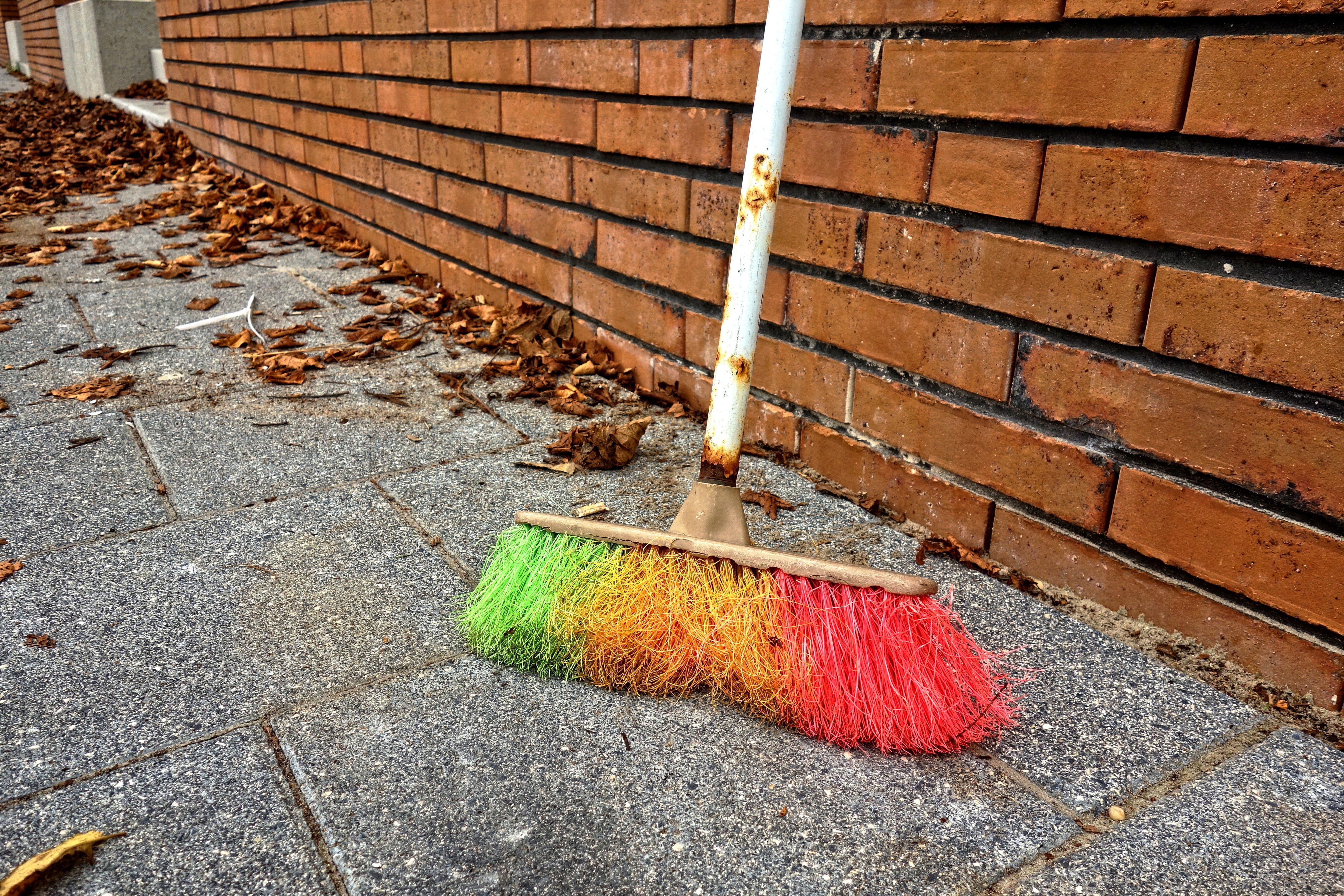 brown, plant part, equipment, architecture, sidewalk, high angle view, outdoors, road, wall - building feature, sweeping, broomstick, cleaning equipment, HD Wallpaper