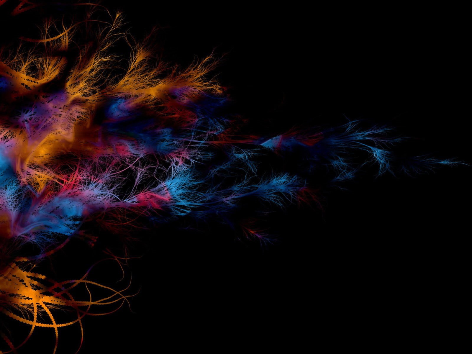 720P, abstract, fringe, copy space, nature, blue, studio shot, multi colored, light painting, indoors, digital, close-up, night, motion, softness, HD Wallpaper