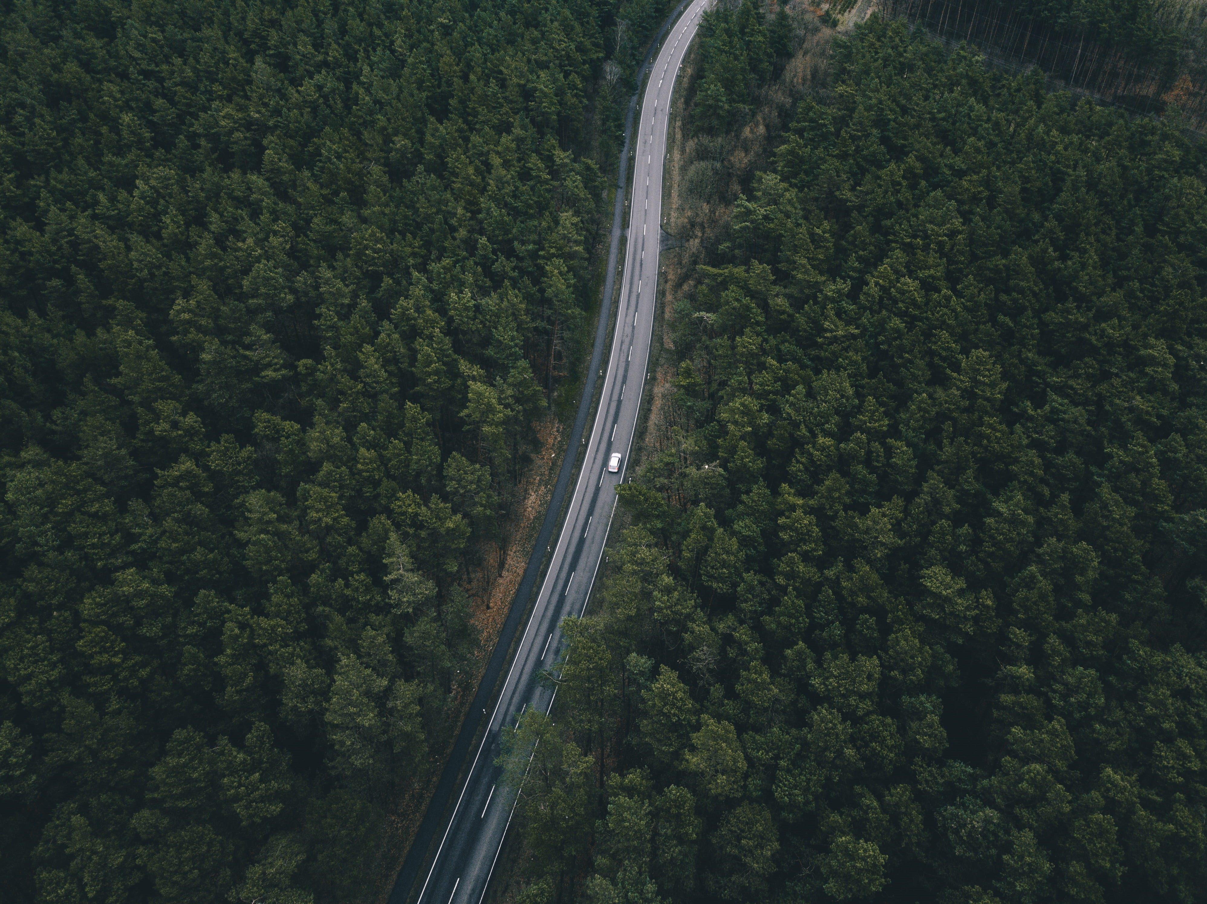 trees, road, aerial, plant, scenics - nature, 4K, mode of transportation, non-urban scene, beauty in nature, tree, green color, forest, view, aerial view, HD Wallpaper