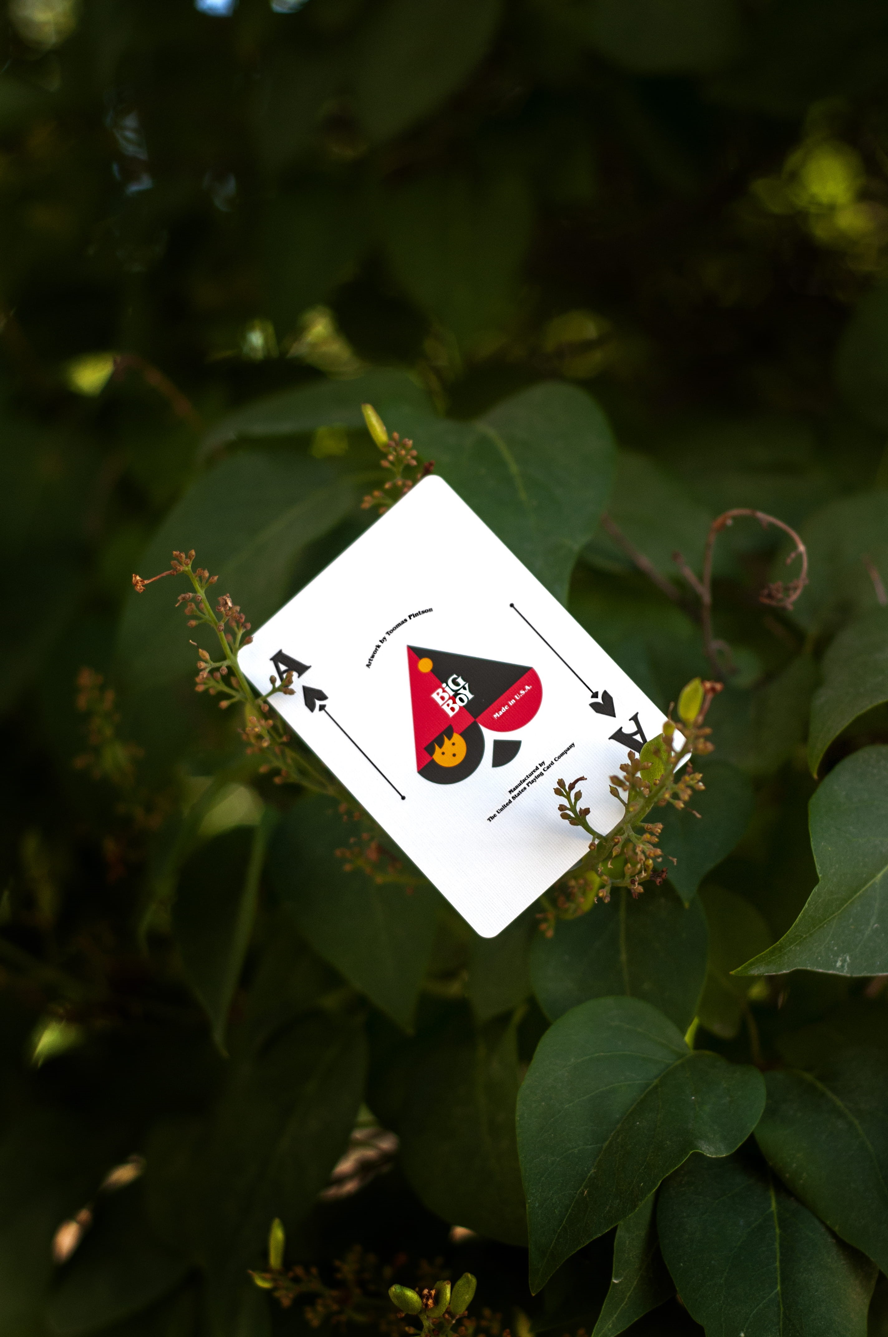 nature, plant part, growth, illustration, card, close-up, 4K, human representation, big boy, cardistry, plant, games, magic, outdoors, white color, day, Phone HD Wallpaper