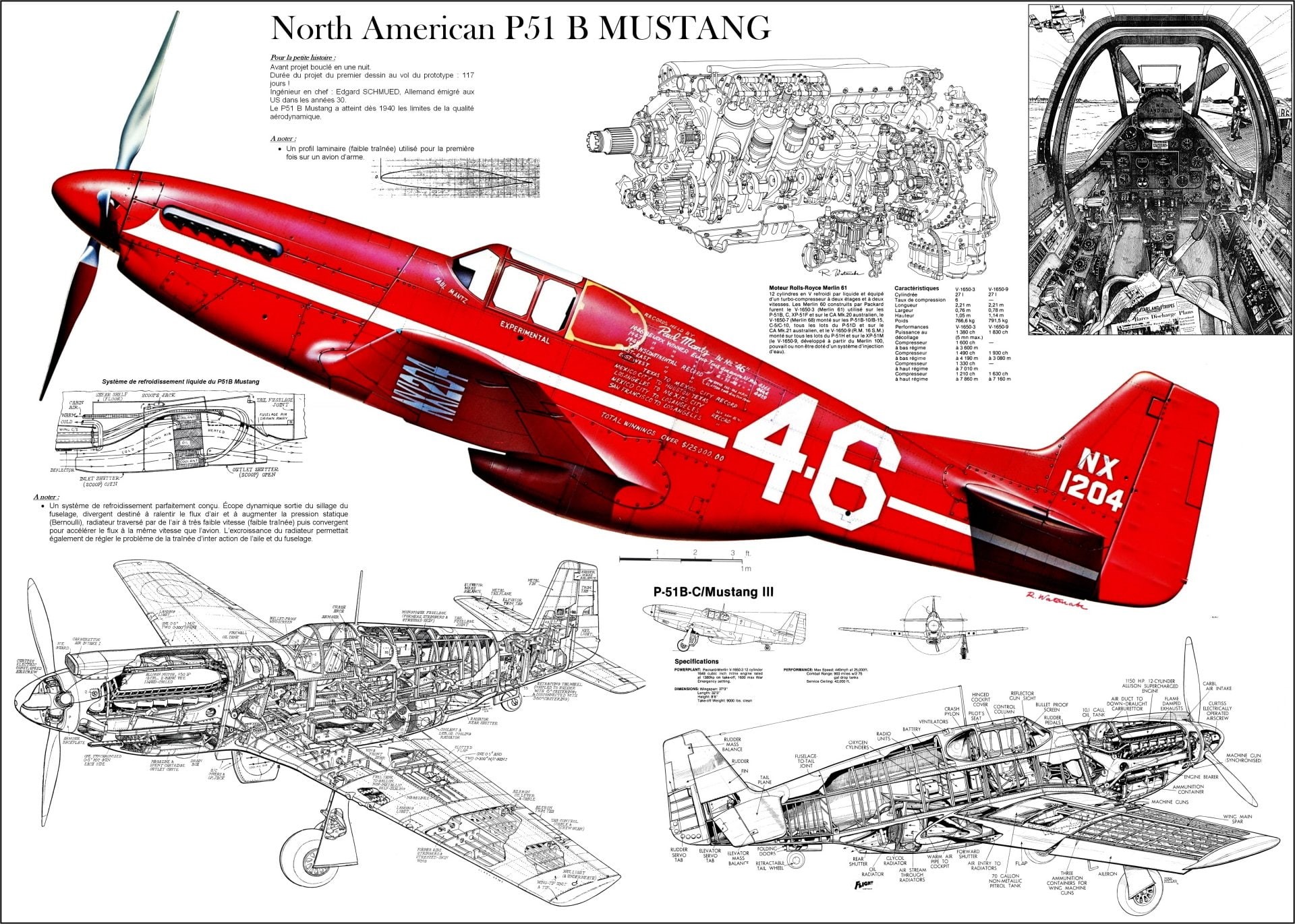 Schematic, Aircraft, Military Aircrafts, North American P-51 Mustang, 1080P, HD Wallpaper