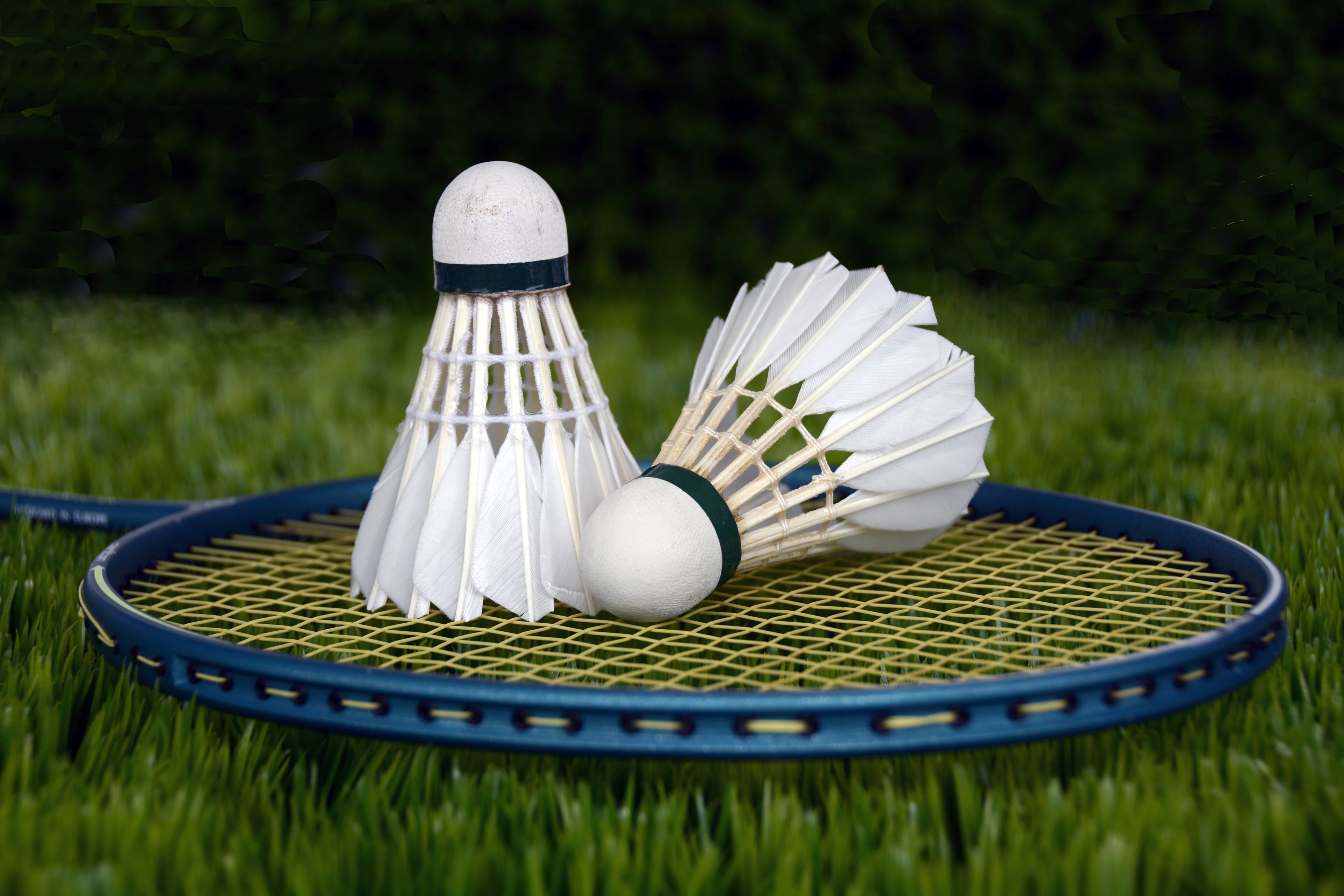 recreational sports, flower, pattern, leisure activity, speed, rush, coupon, movement, focus on foreground, green color, shuttle, play, day, shuttlecocks, HD Wallpaper