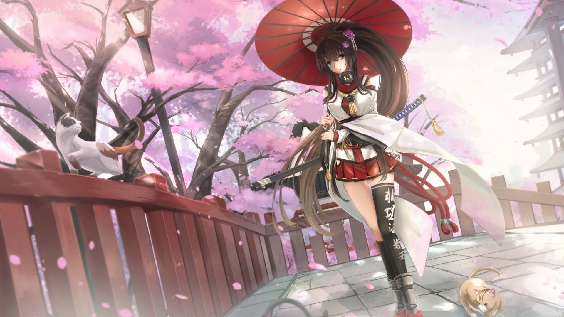  flowering plant, festival, sword, plant, representation, no people, Kantai Collection, day, low angle view, outdoors, hd, katana, beauty in nature, HD Wallpaper