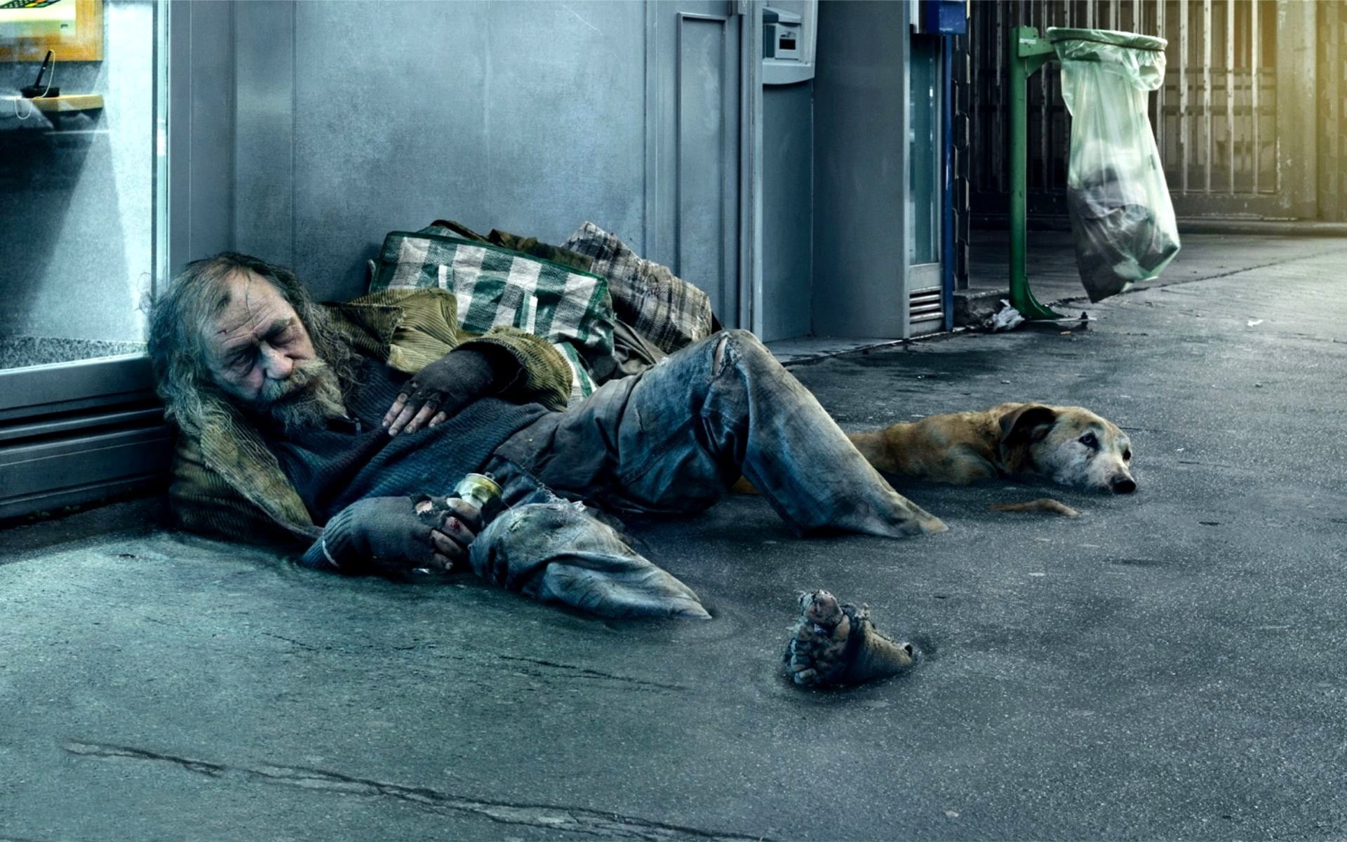 sitting, grief, poverty, problems, depression - Sadness, pets, fur, dirty, lying on side, animal, homeless, s, hopelessness, loneliness, trimmed, tramp, HD Wallpaper
