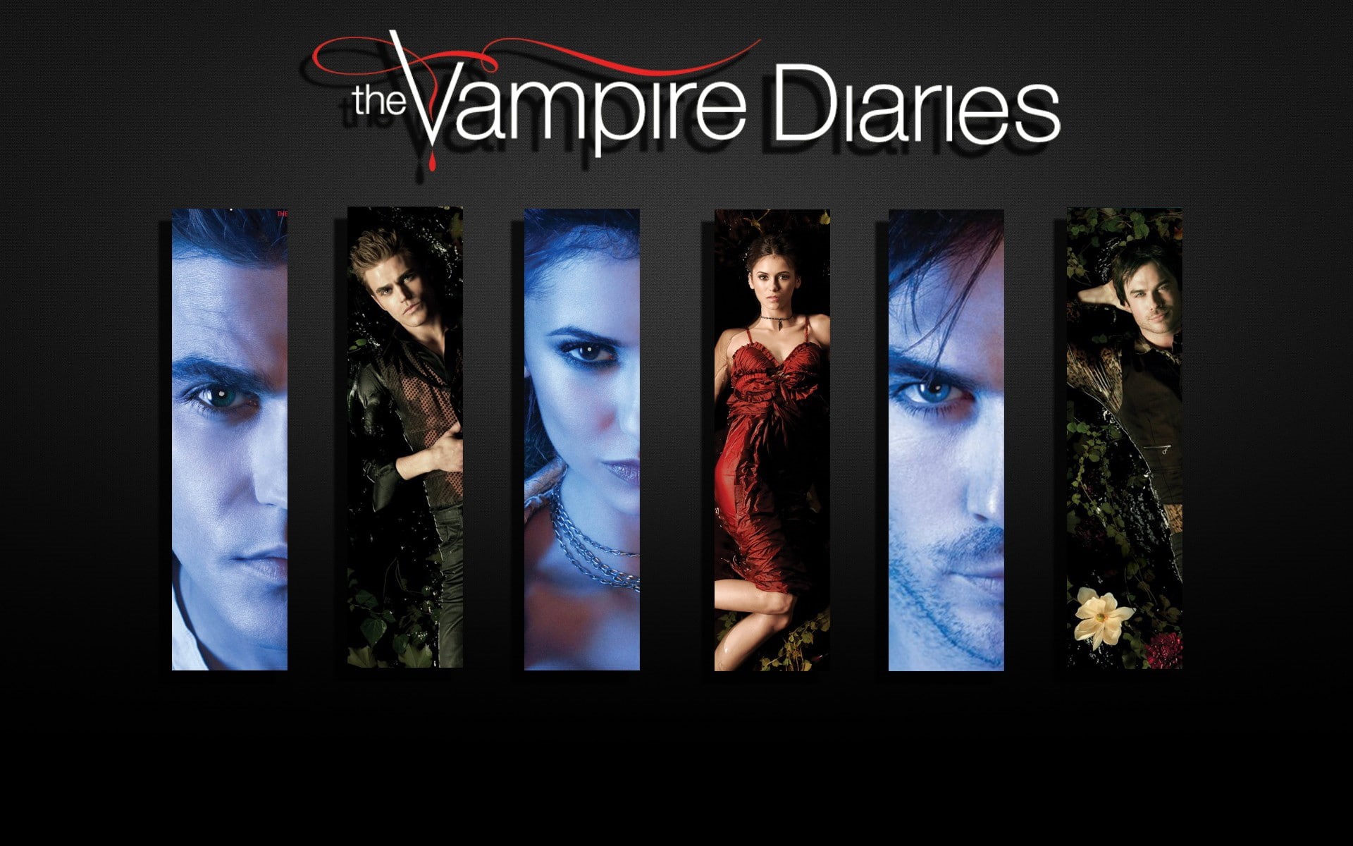 diaries, 1080P, ian, wesley, nina, dobrev, vampire, paul, panels, HD Wallpaper