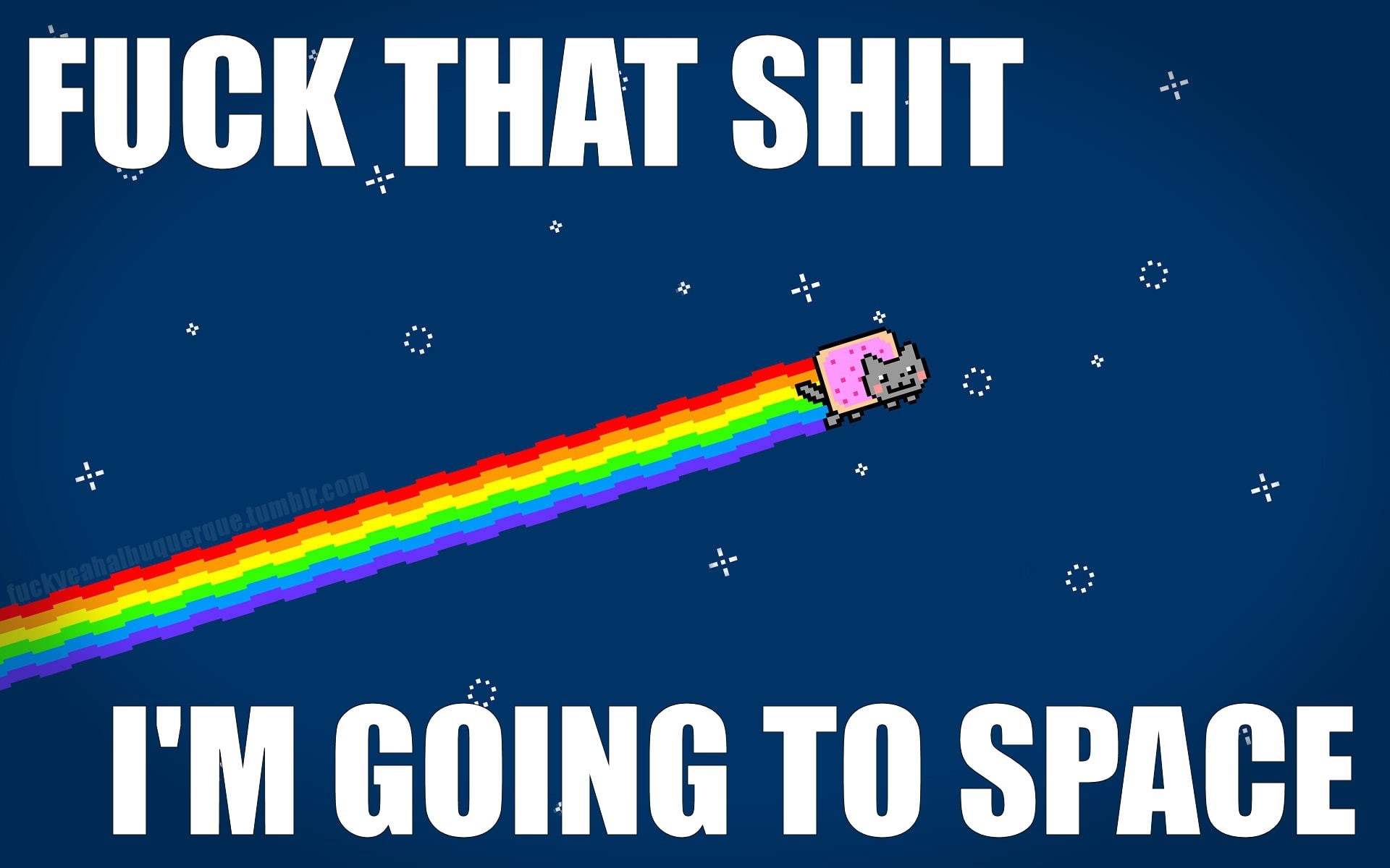 outer, nyan, x, outer space, art, 1080P, hd, cats, space, cat, rainbows, poptarts, animals, HD Wallpaper
