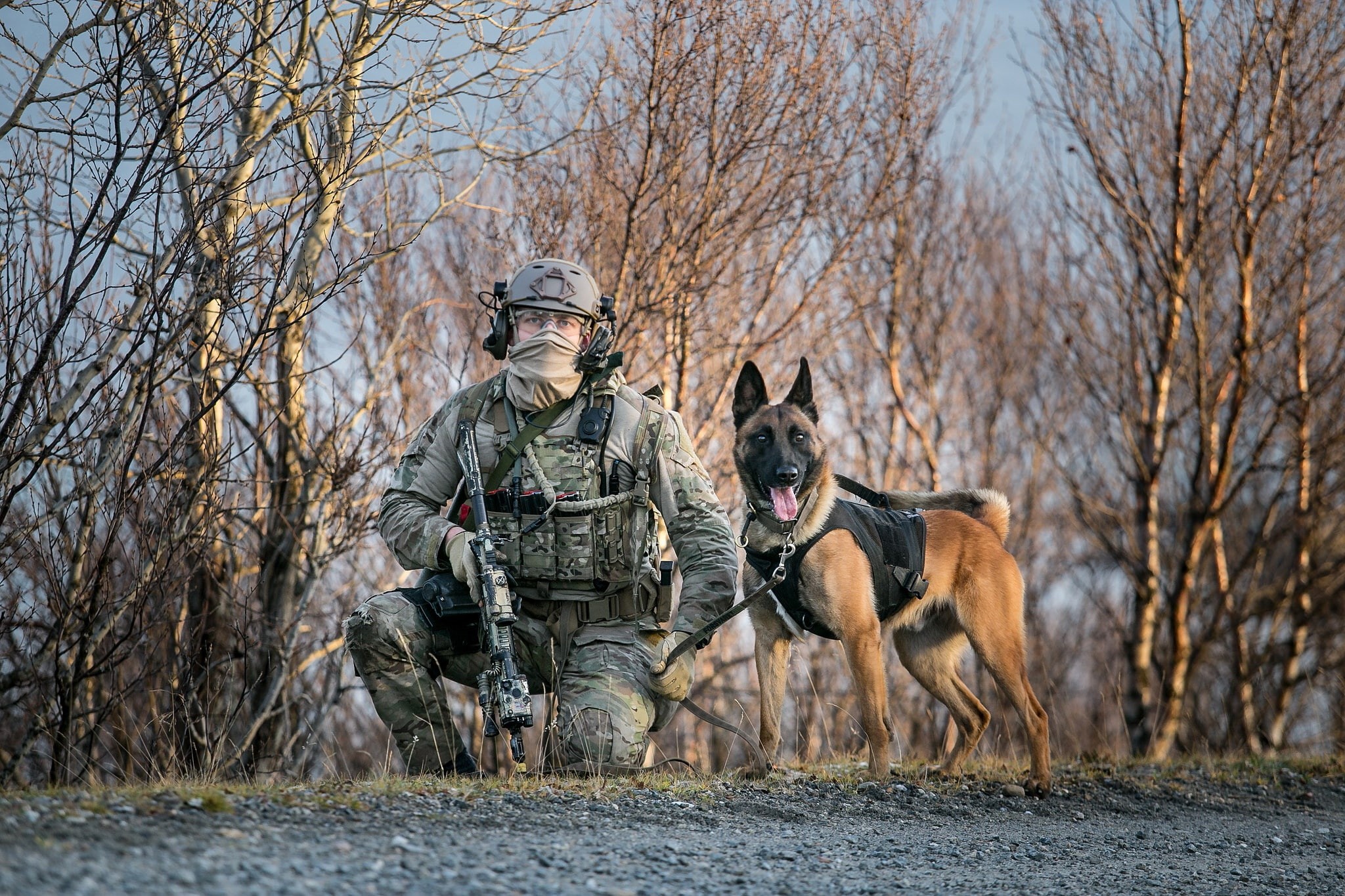dog, army, weapons, soldiers, 1080P, HD Wallpaper